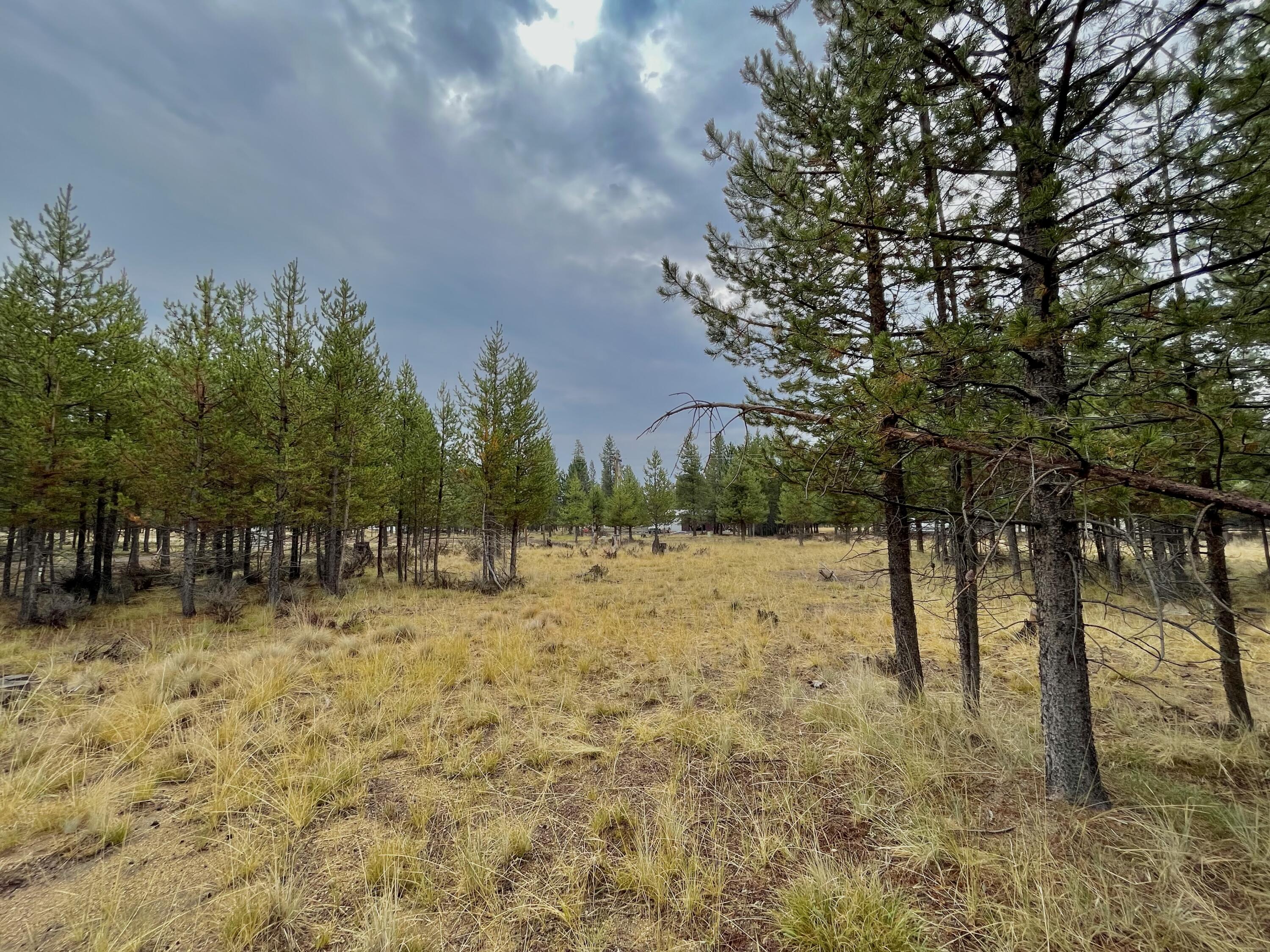 TL 4900 Larchwood Drive