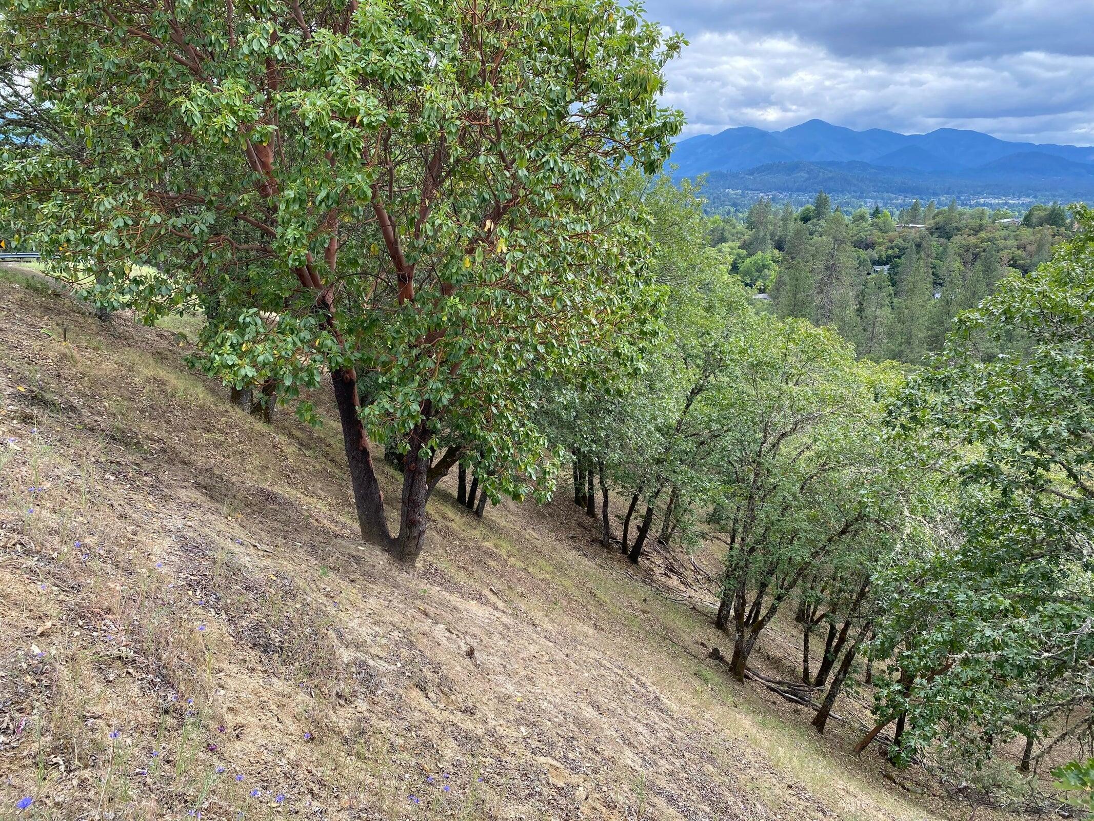 Starlite Subdivision - Land