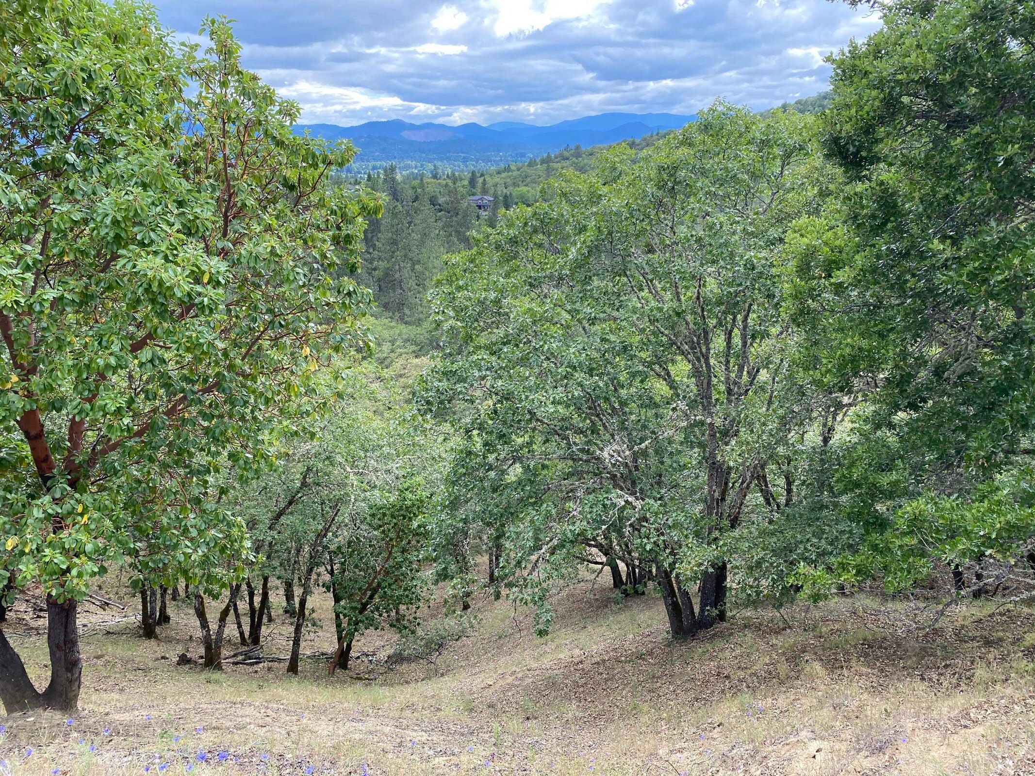 Starlite Subdivision - Land