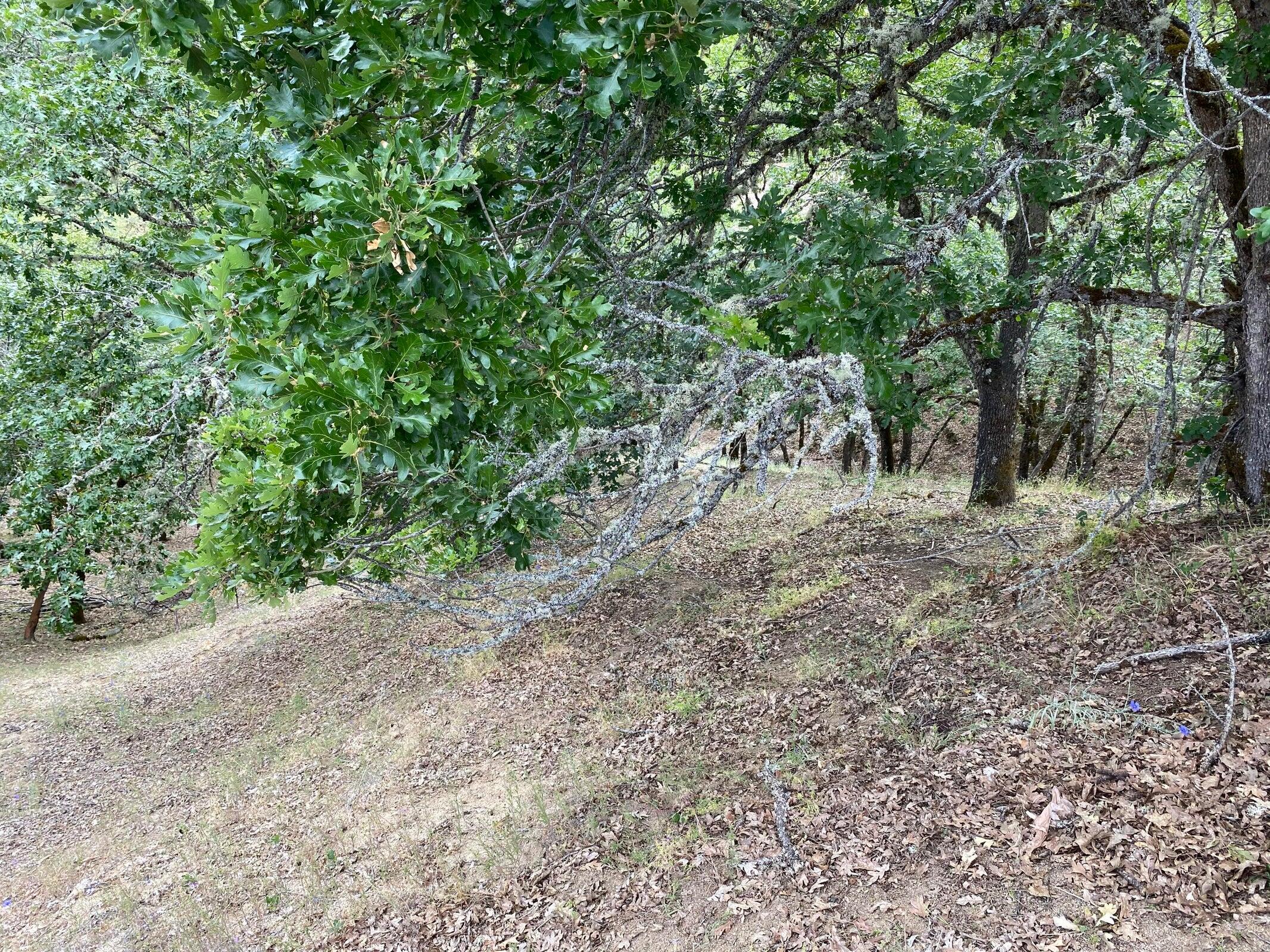 Starlite Subdivision - Land