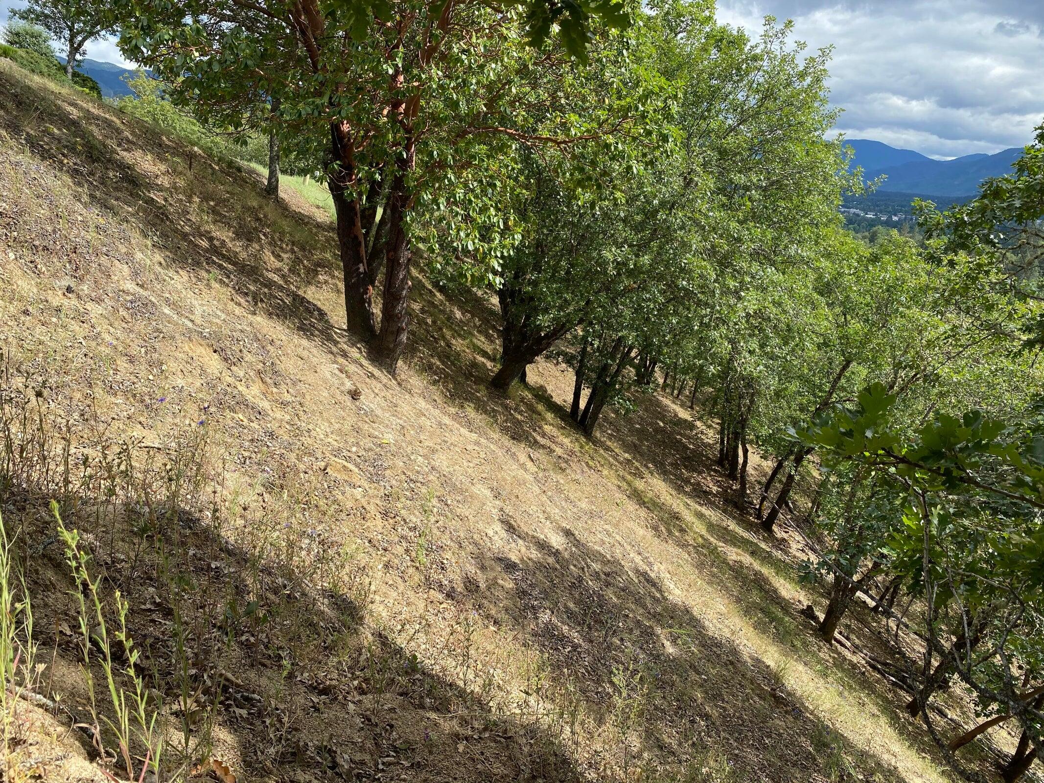 Starlite Subdivision - Land