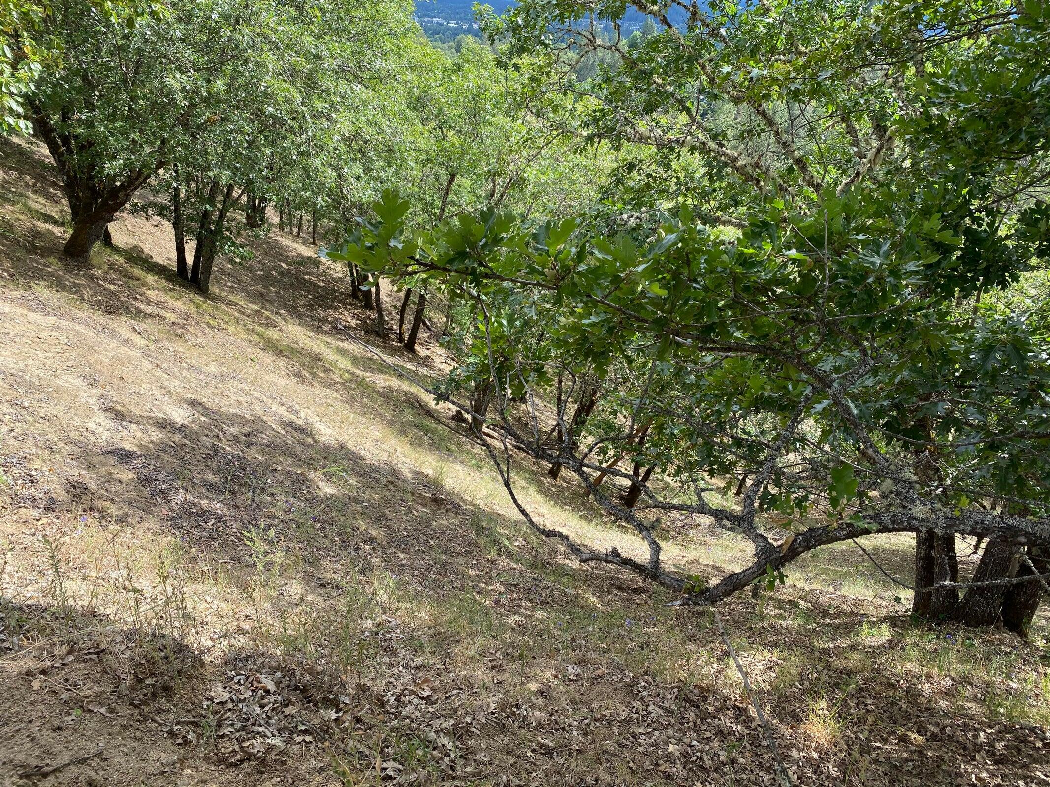 Starlite Subdivision - Land