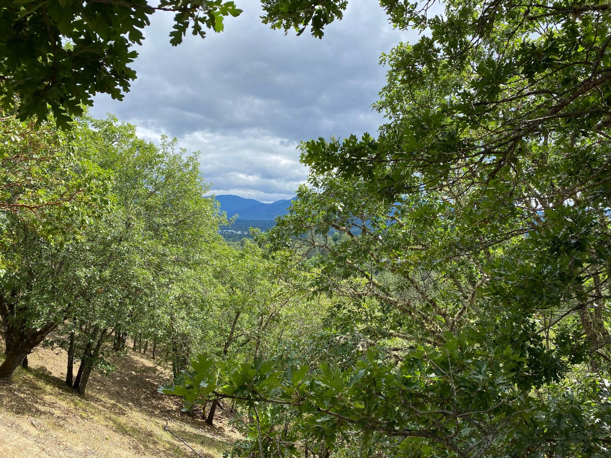 Starlite Subdivision - Land