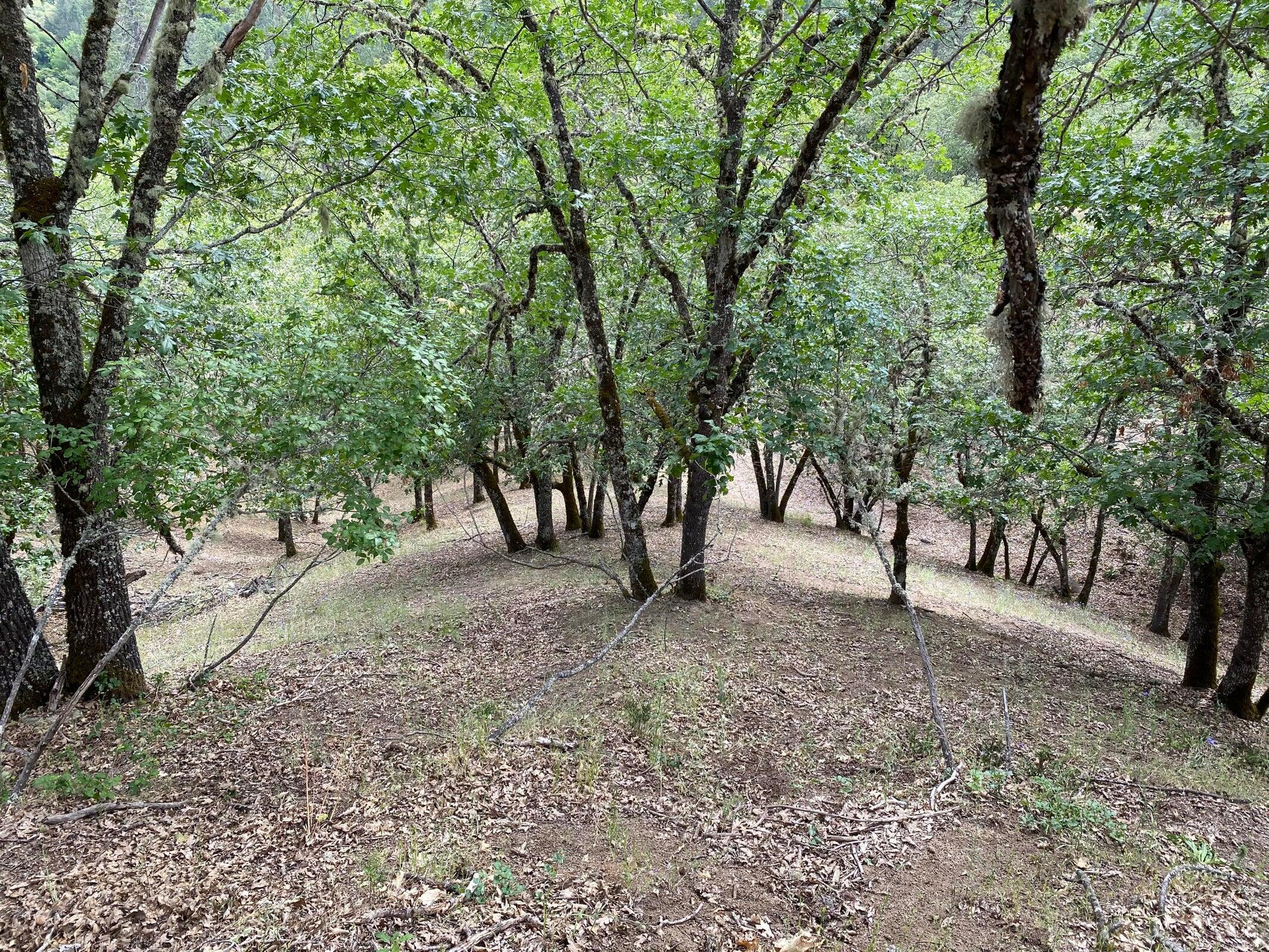 Starlite Subdivision - Land