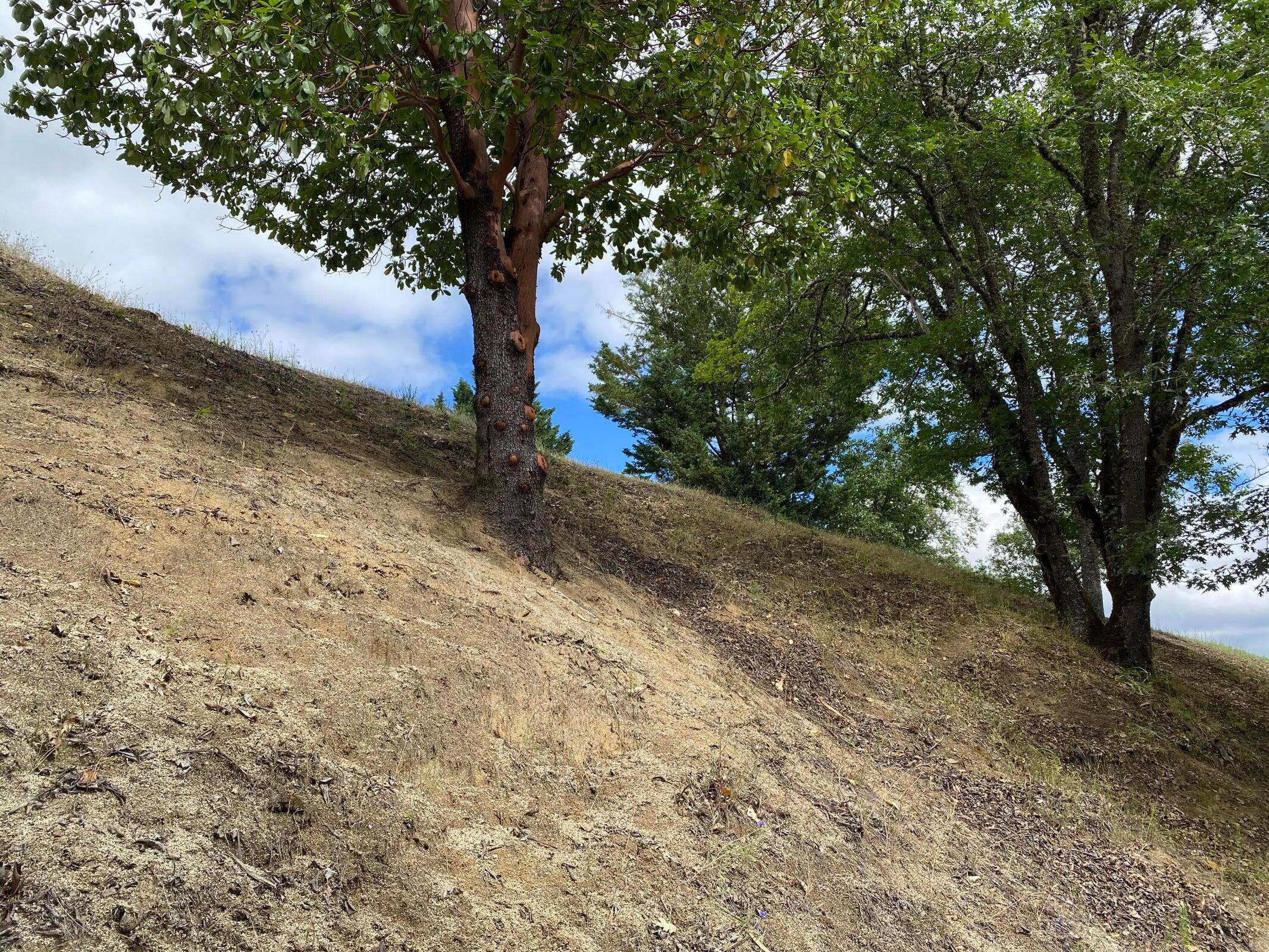 Starlite Subdivision - Land