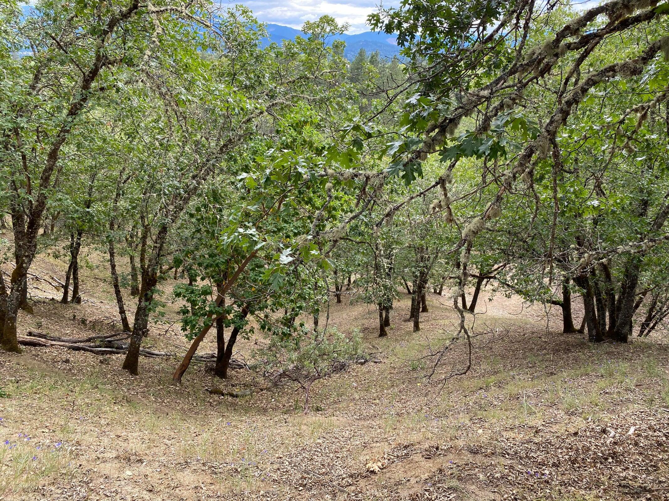 Starlite Subdivision - Land