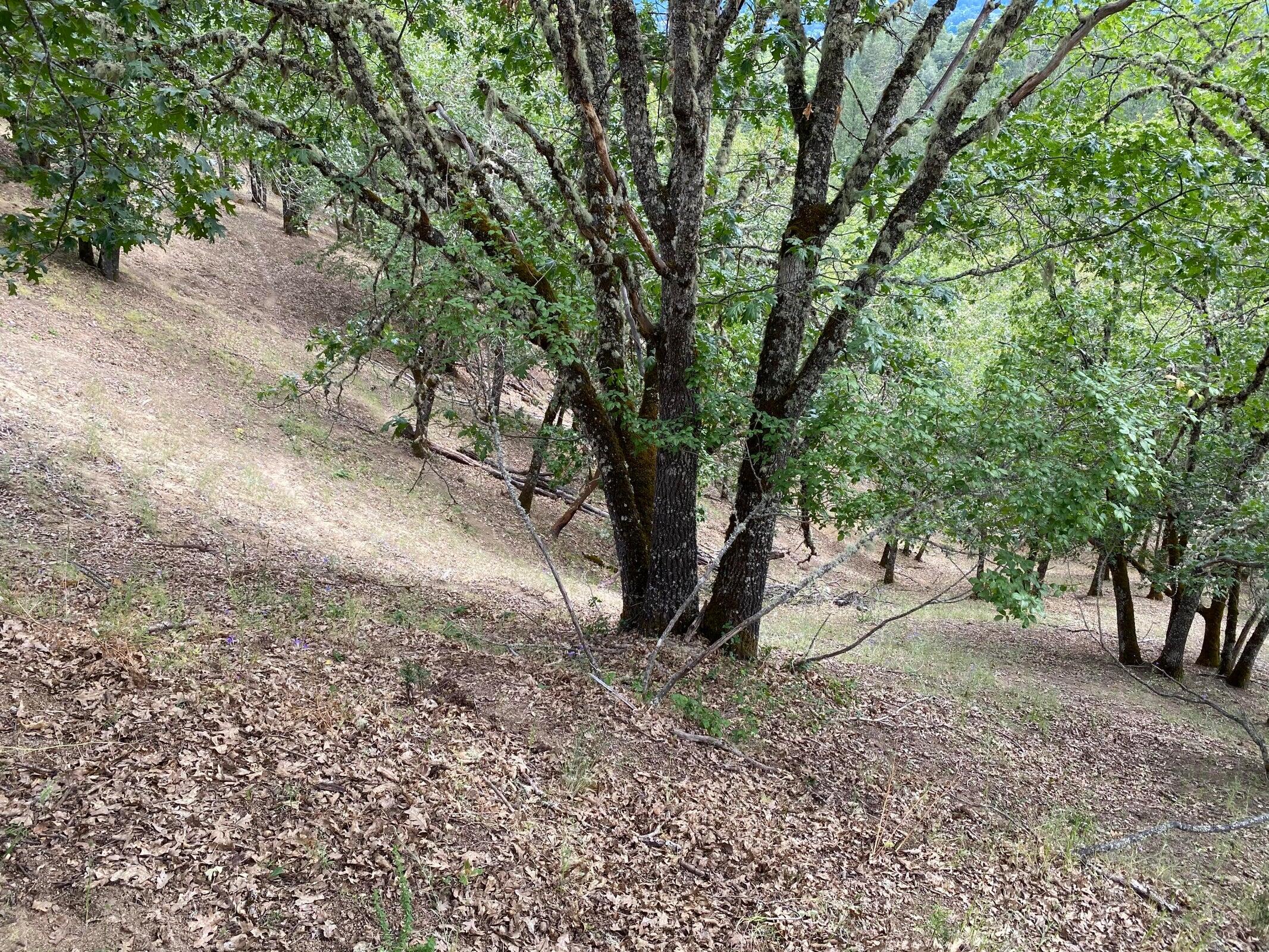 Starlite Subdivision - Land