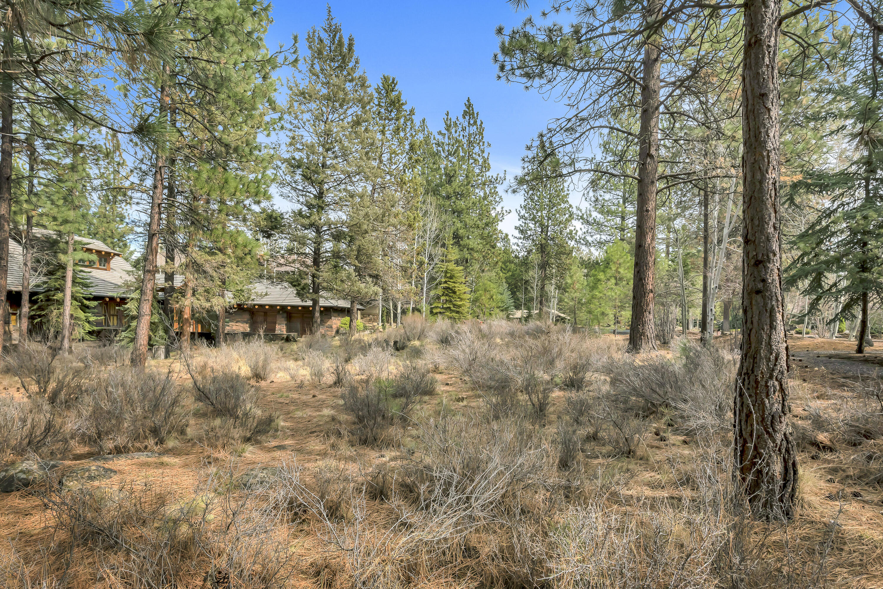 19374 Rim Lake Court