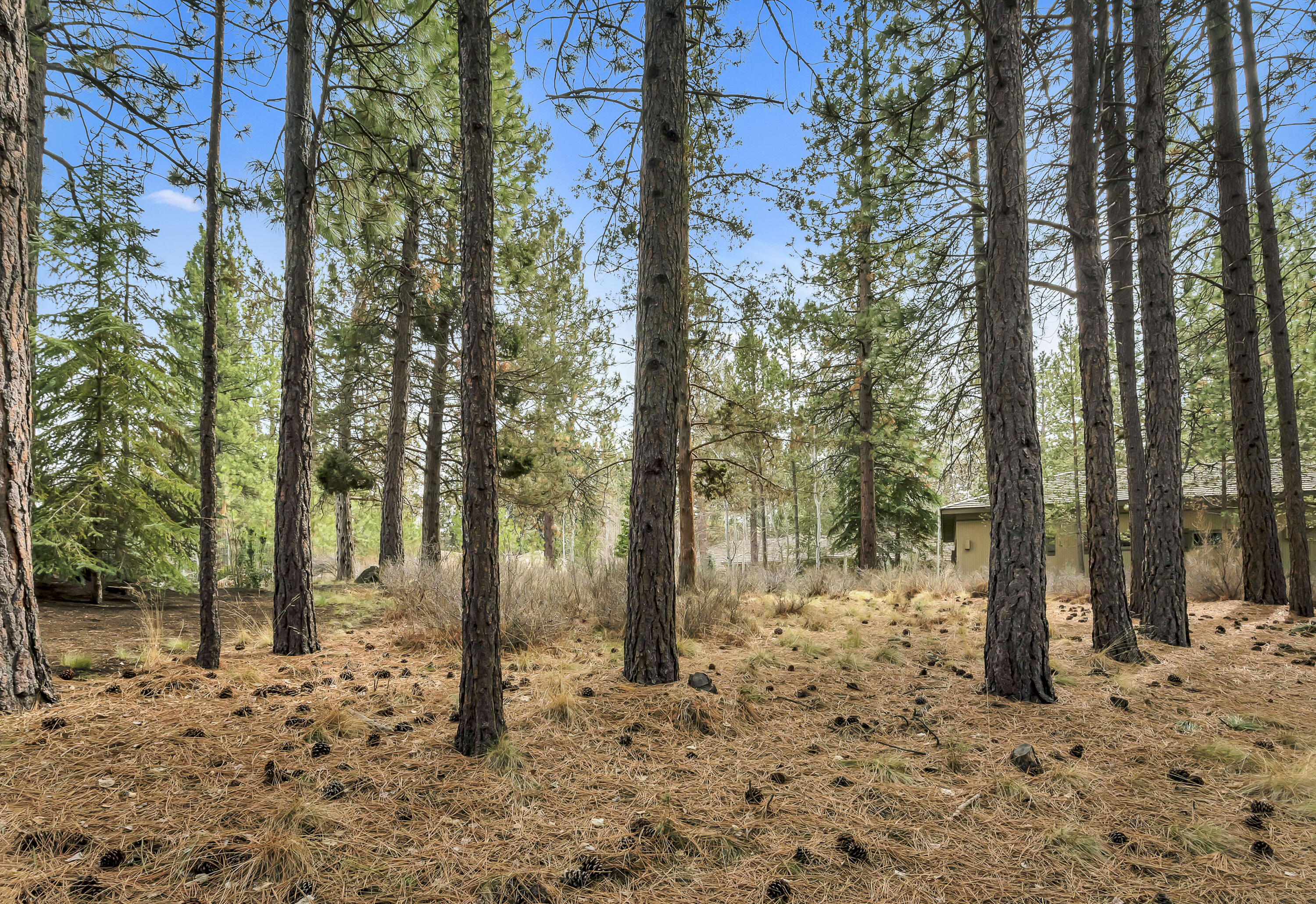 19374 Rim Lake Court