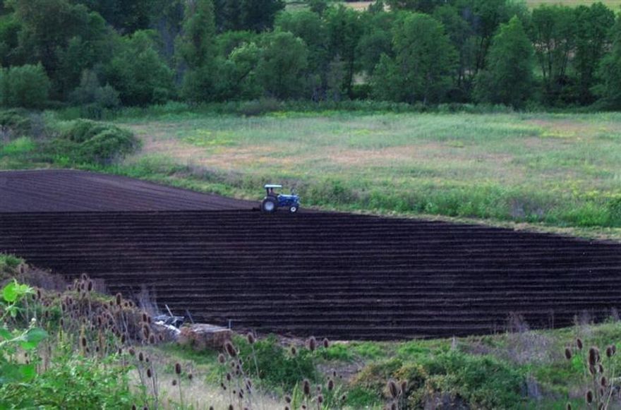 A rare opportunity for an Ashland farm w/excellent exposure to I-5 and downtown Ashland through a unique location. Spectacular views and approximately 1/2 mile of Bear Creek frontage, create the potential for an ecotourism destination. The property is adjacent to Ashland City limits and offers land suitable for grapes, farm to market produce or livestock. Currently operated as a hay ranch. 4 pre-existing residences can be rented or replaced without having to qualify for new home site approval. A fifth home site is possible on the RR00 parcel across the freeway. A great location for a winery to take advantage of the traffic generated by the Shakespearean Festival.