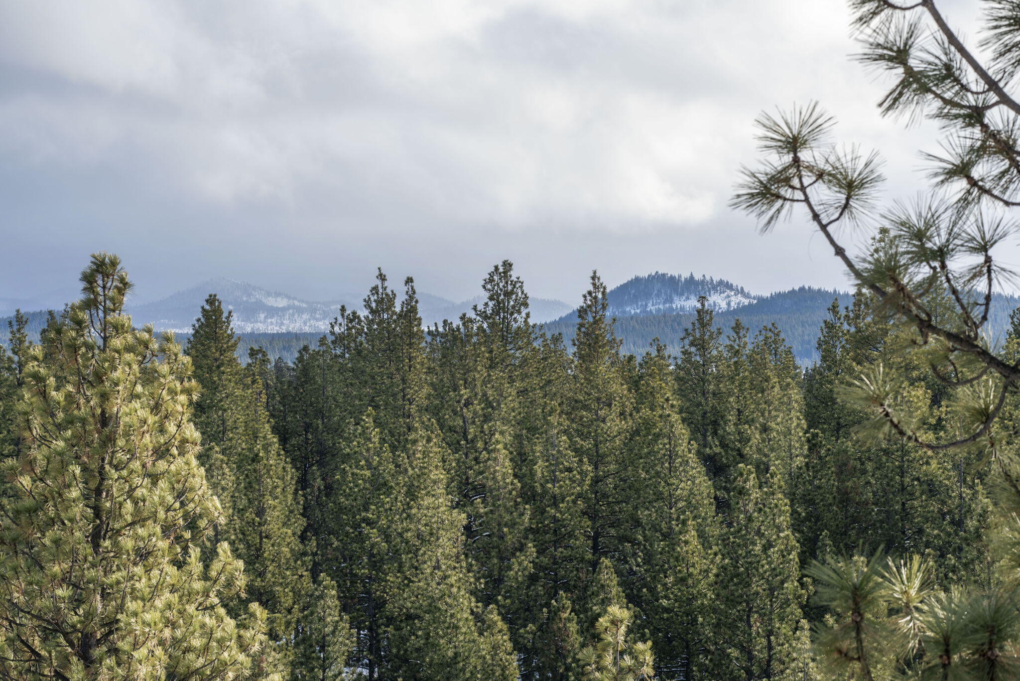 Inn Of The 7th - Residential