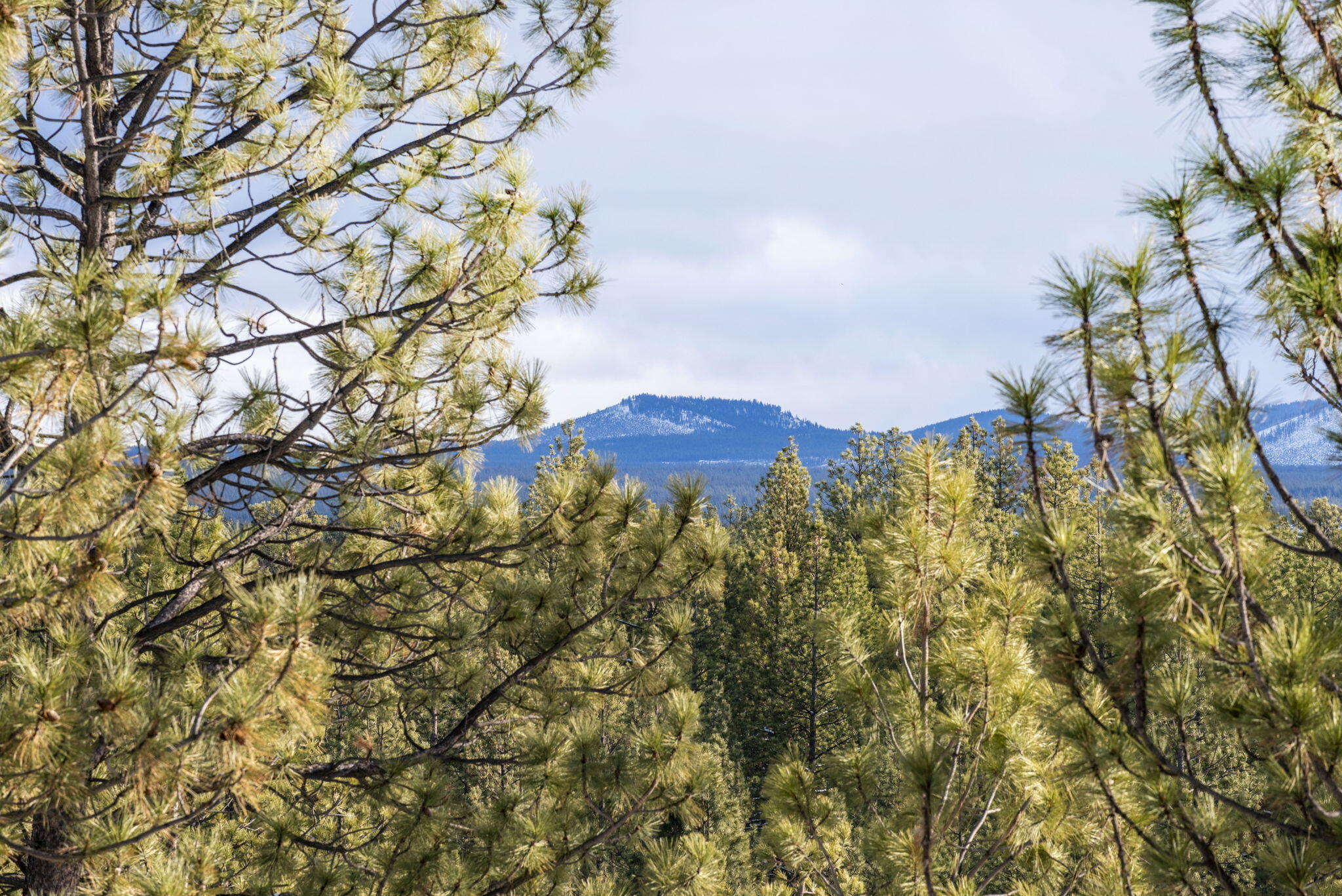 Inn Of The 7th - Residential