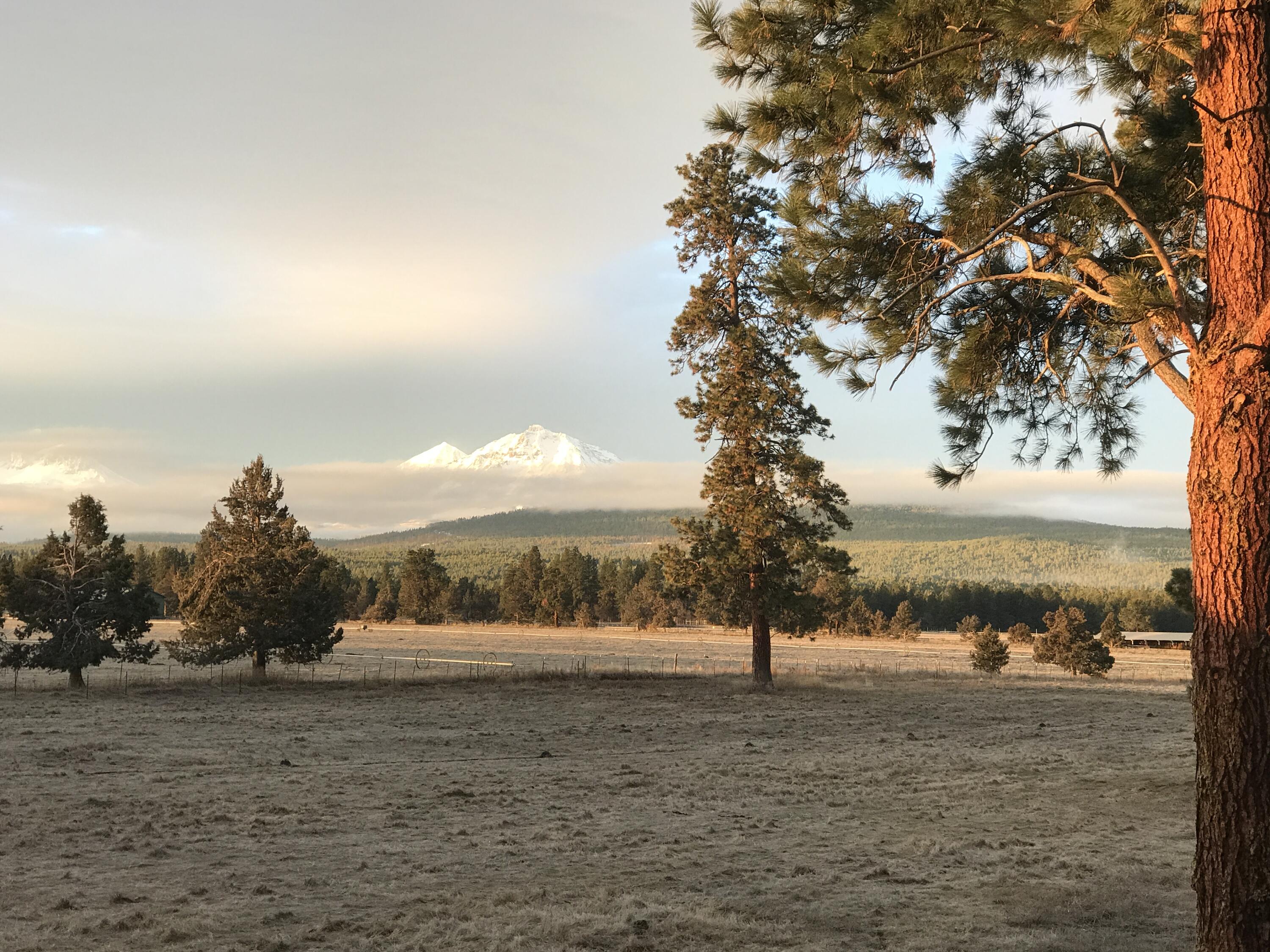 Pine Meadow Vill - Residential