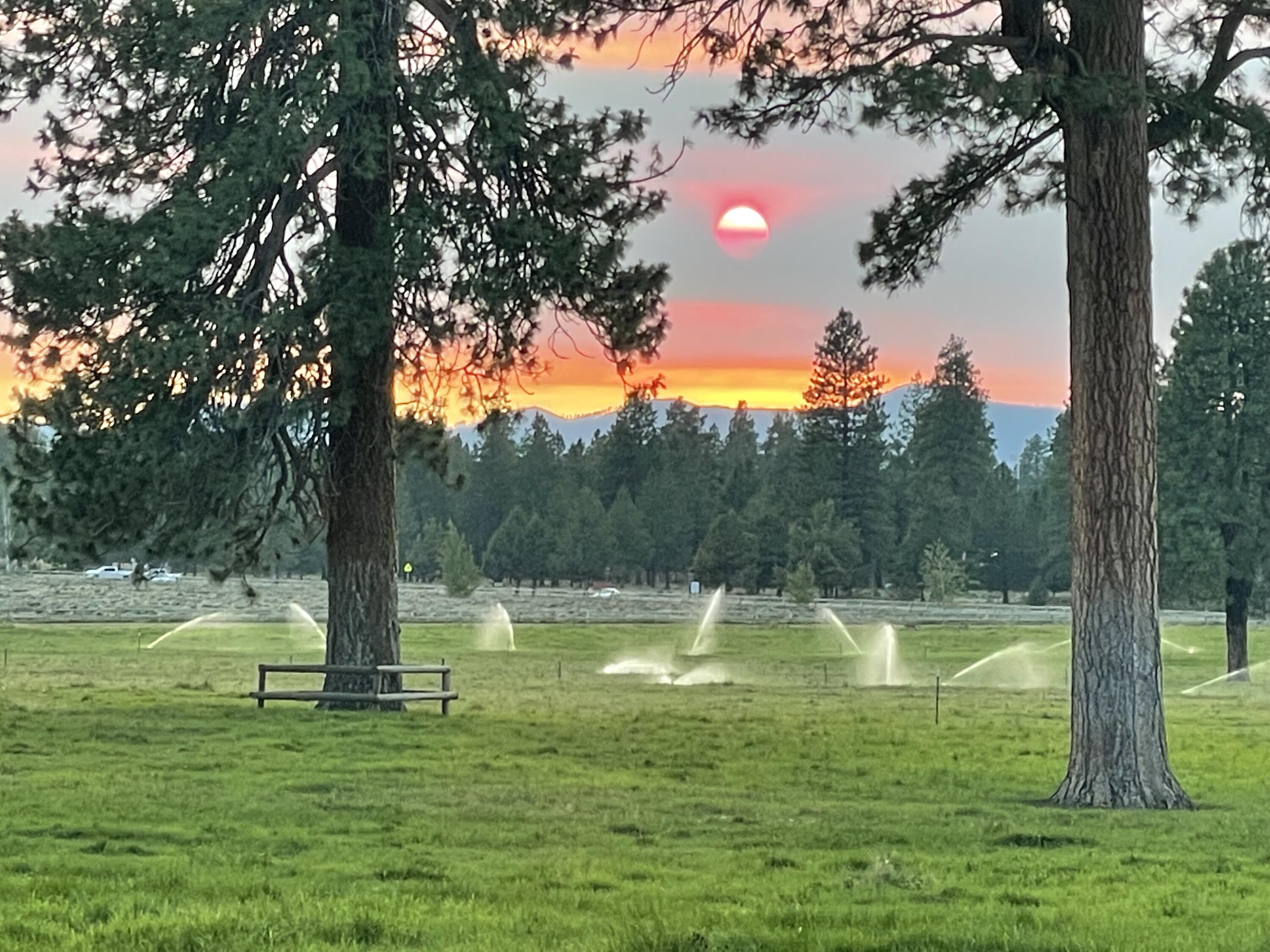 Pine Meadow Vill - Residential