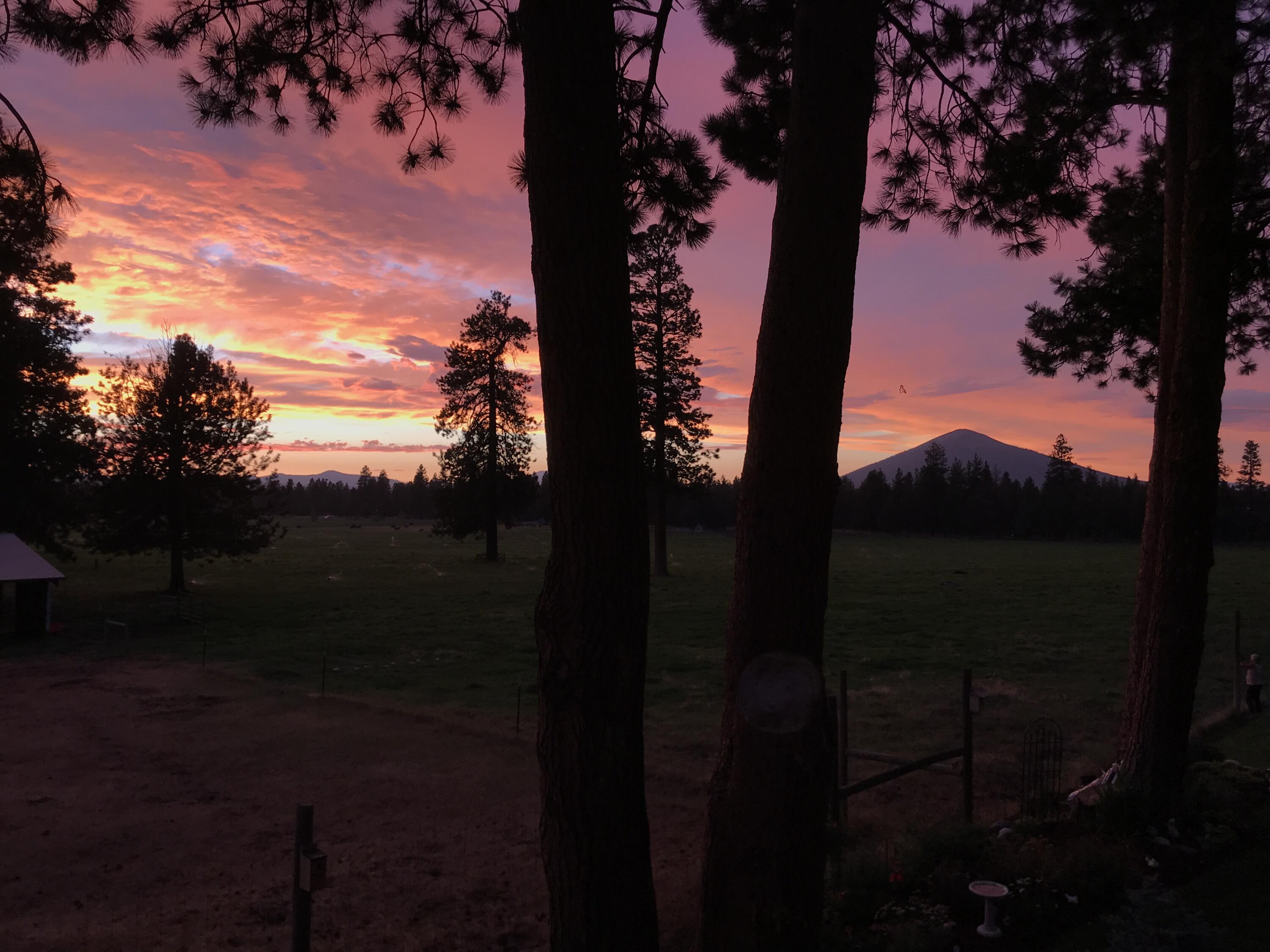 Pine Meadow Vill - Residential