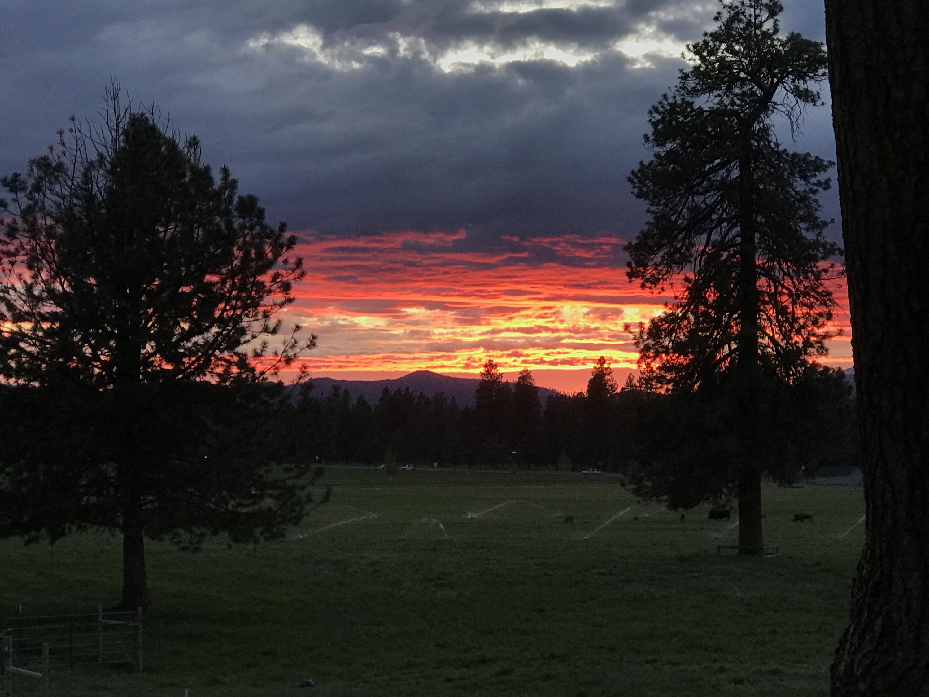 Pine Meadow Vill - Residential