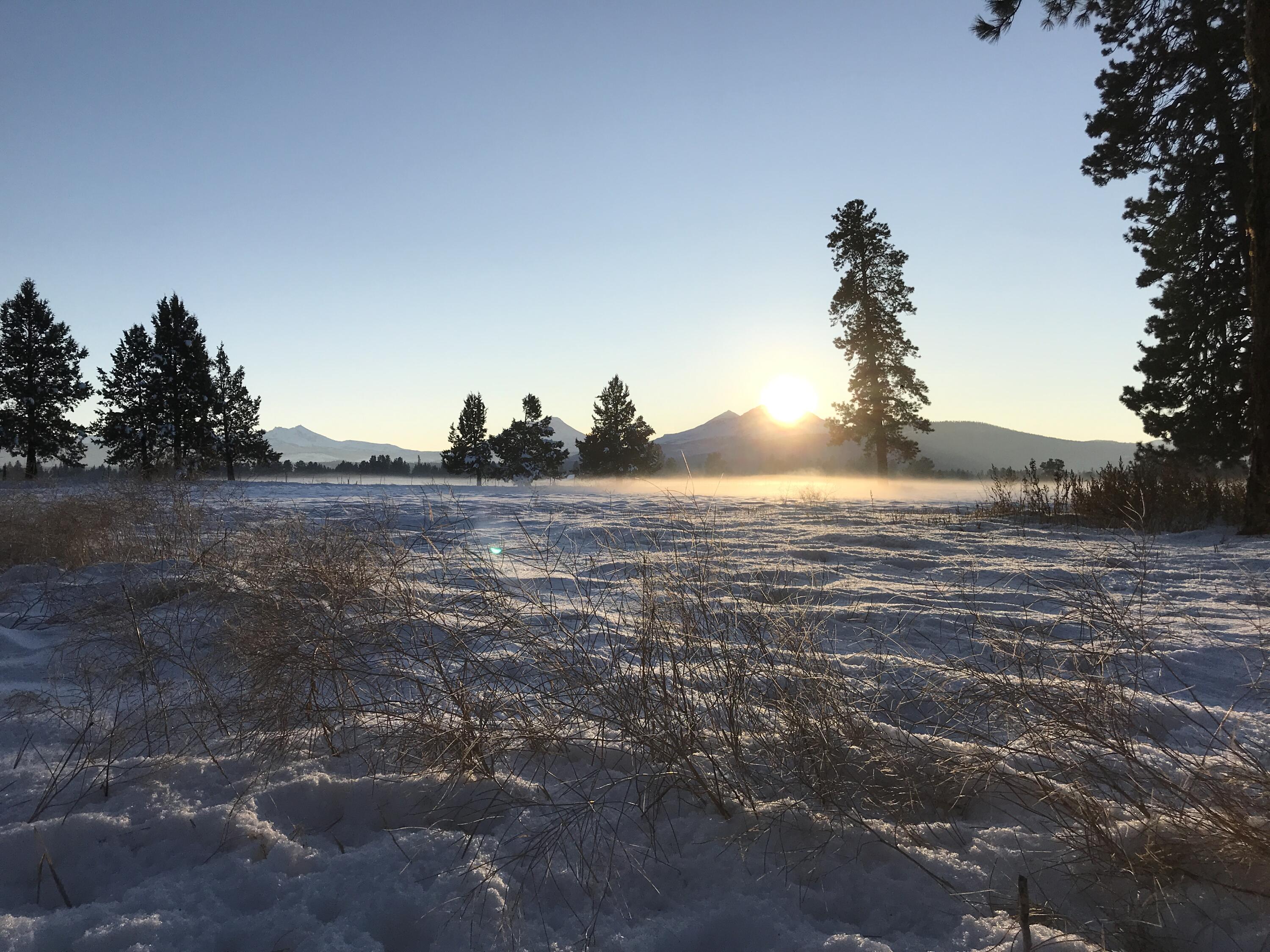 Pine Meadow Vill - Residential