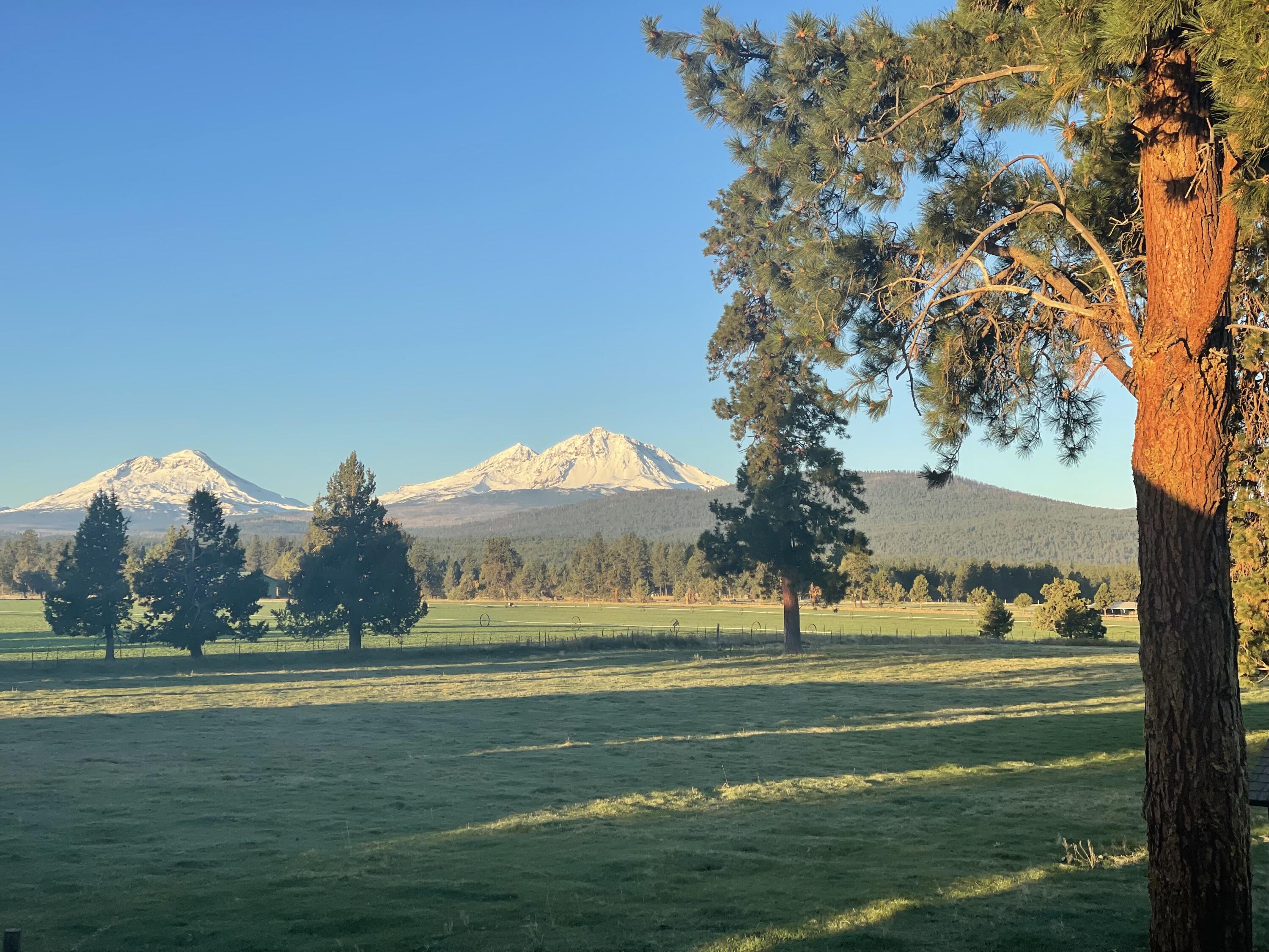 Pine Meadow Vill - Residential