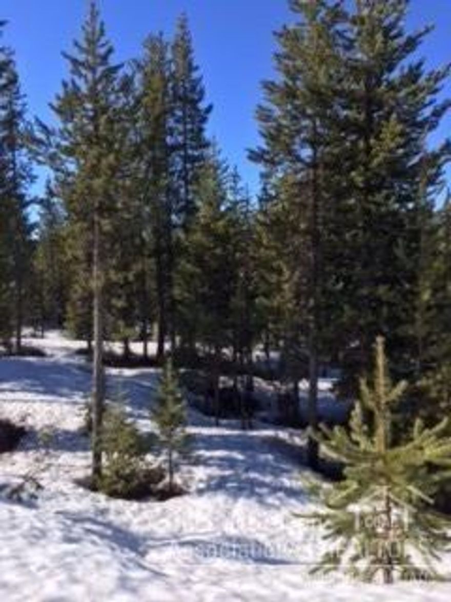 Hemlock Creek frontage! Nicely treed lot for privacy. Close to forest service land. This is a great place for outdoor recreation and fun. Close to Willamette Pass ski area and all mountain lakes.