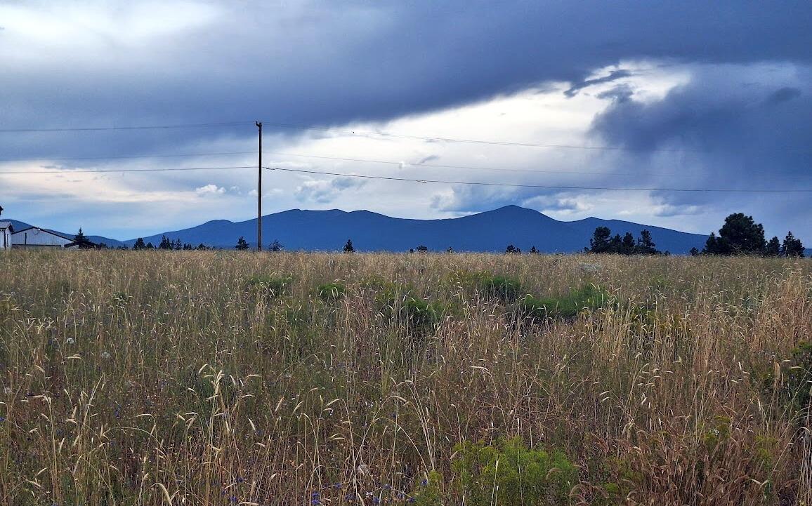 Oregon Shores -Unit 2 - Land