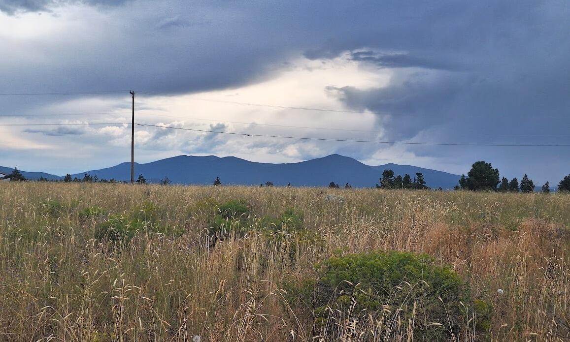 Oregon Shores -Unit 2 - Land