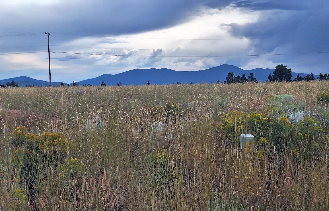 Oregon Shores -Unit 2 - Land