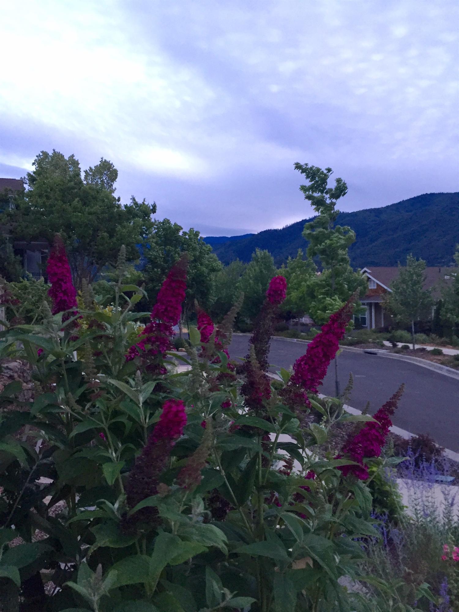 Meadowbrook Park - Residential