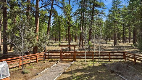 Tiny photo for 69566 Halter, Sisters, OR 97759 (MLS # 220217834)