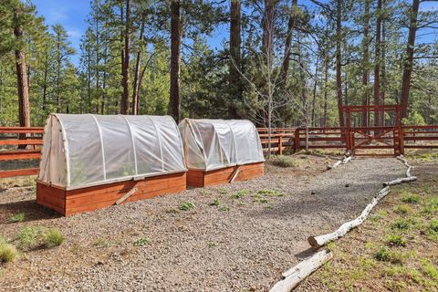 Tiny photo for 69566 Halter, Sisters, OR 97759 (MLS # 220217834)