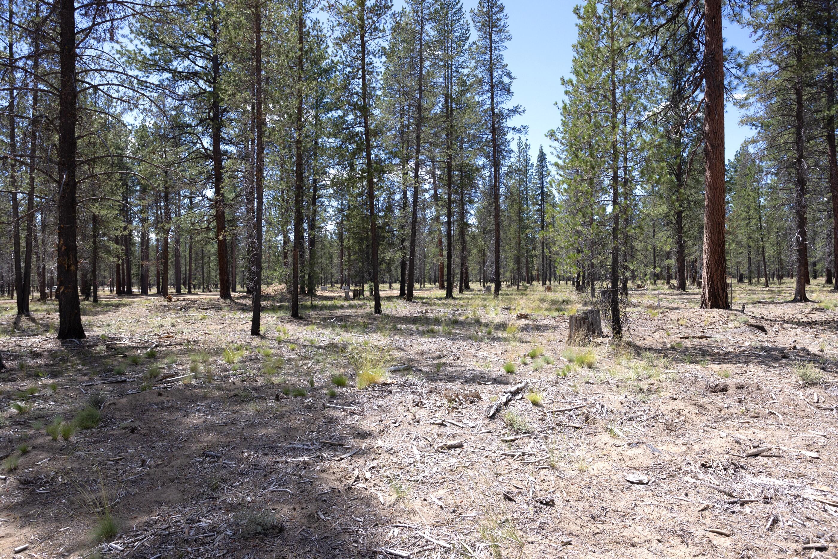 56228 Rockcress Lane 435