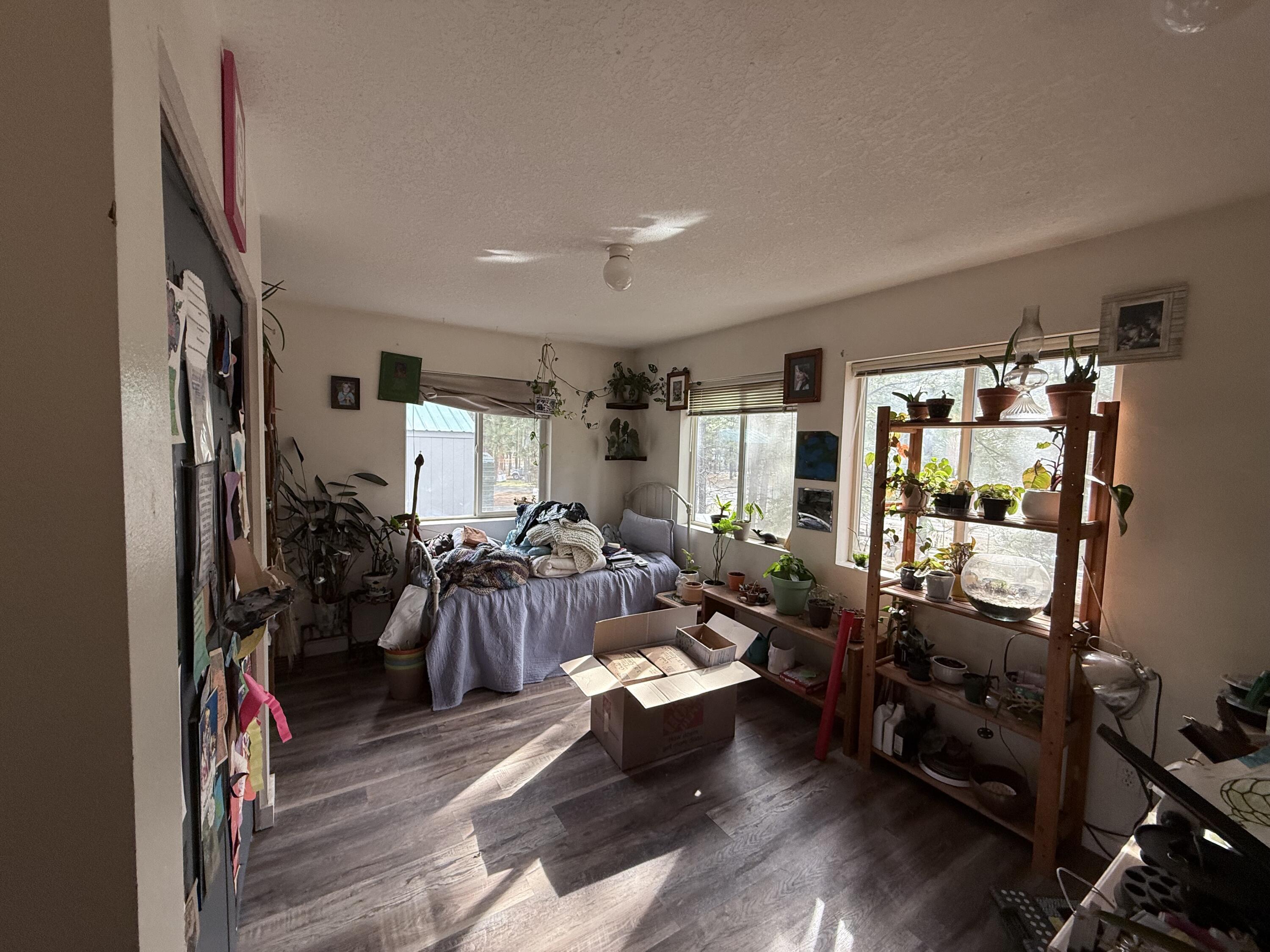 Ponderosa Pines - Residential