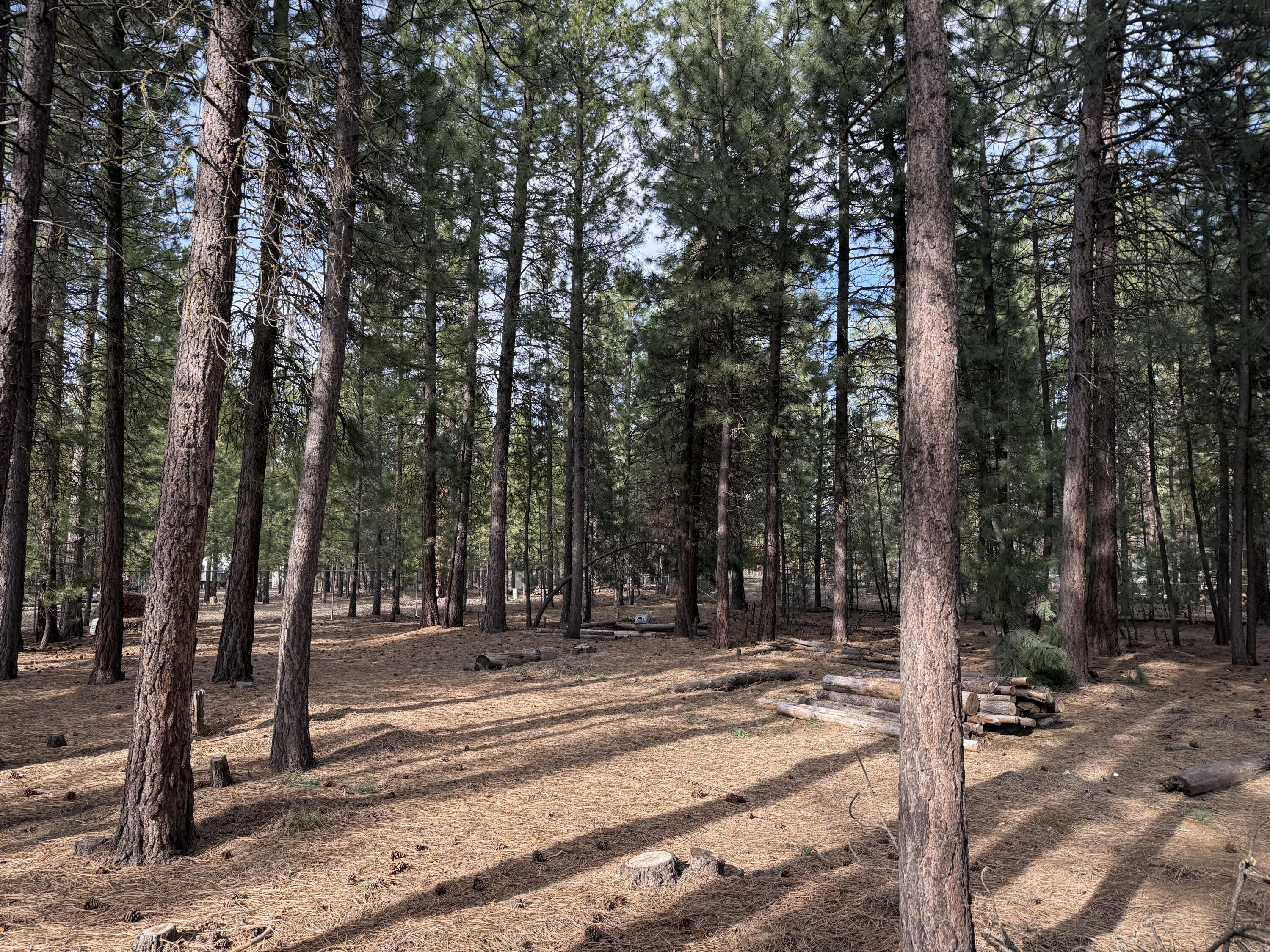 Ponderosa Pines - Residential