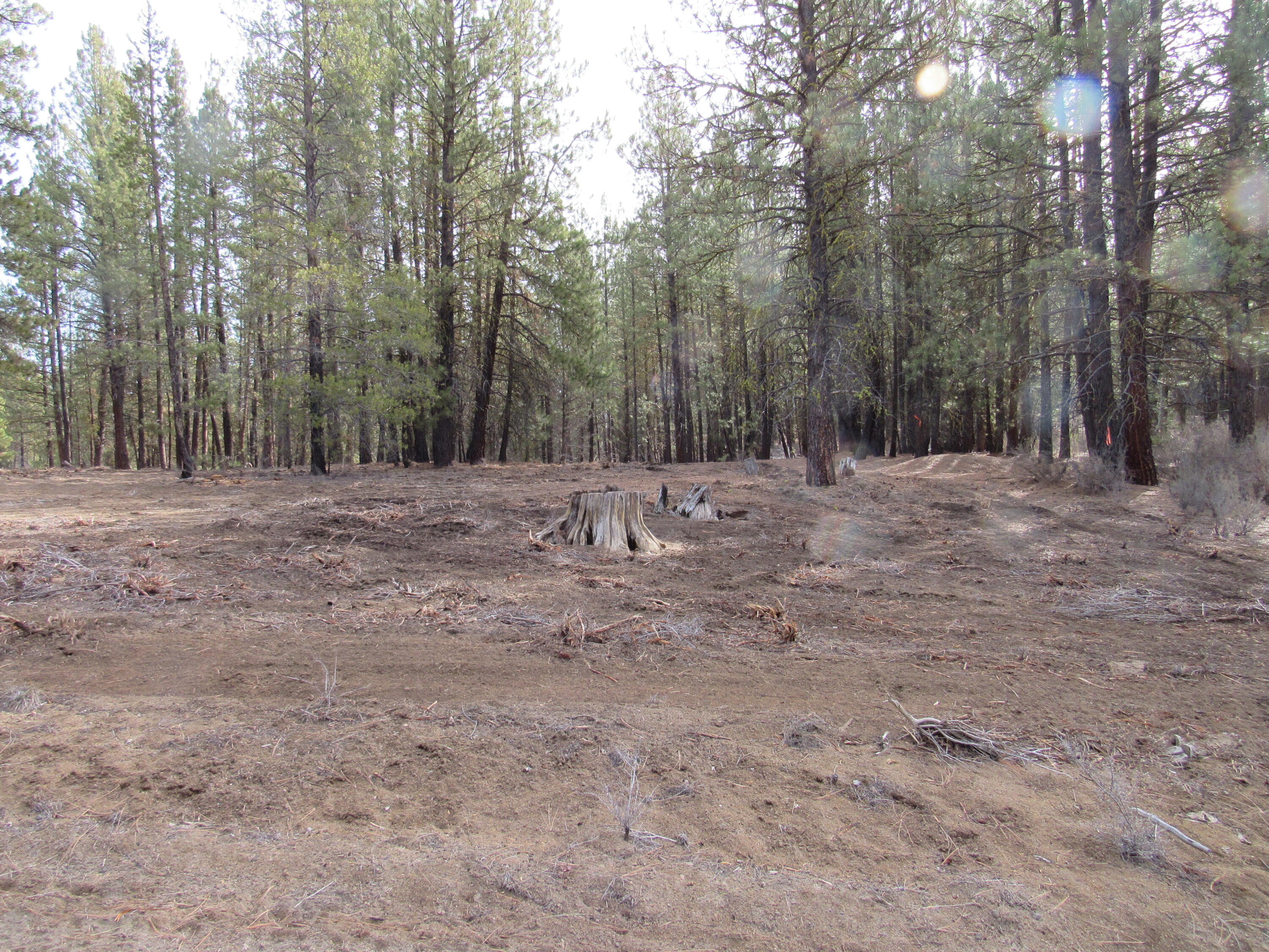 Sprague River Pines - Land