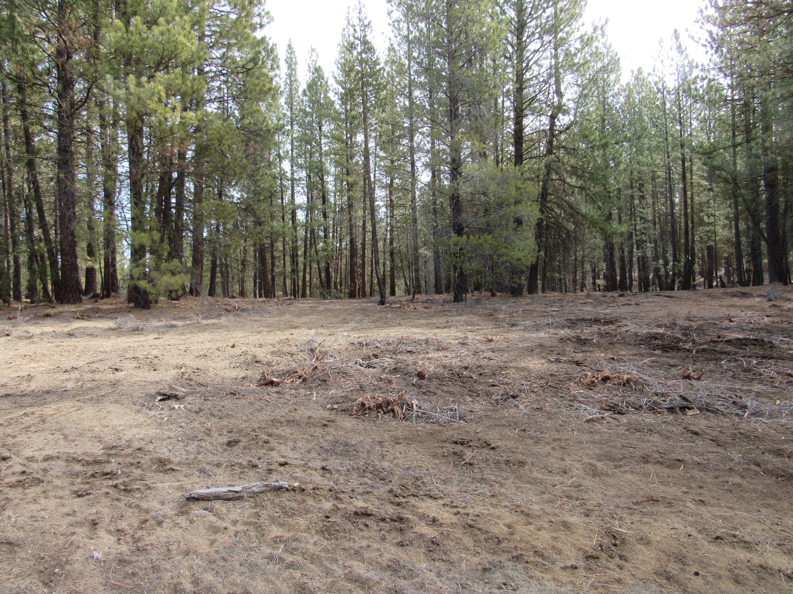 Sprague River Pines - Land