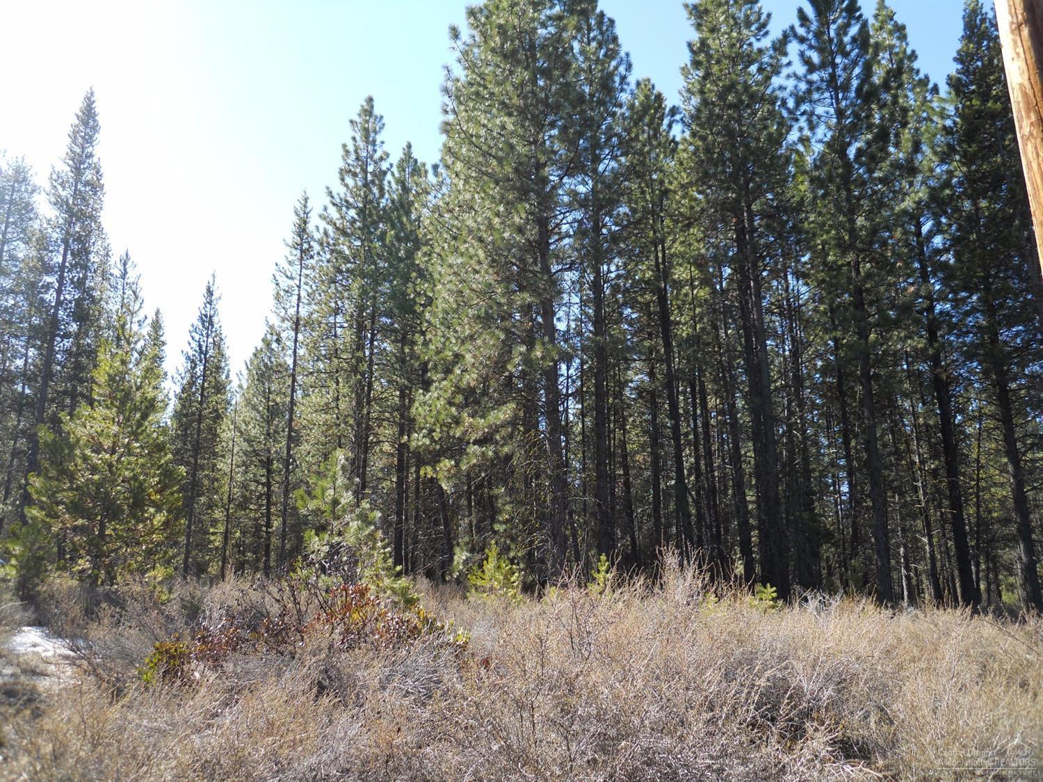 Powder Village Condo - Residential