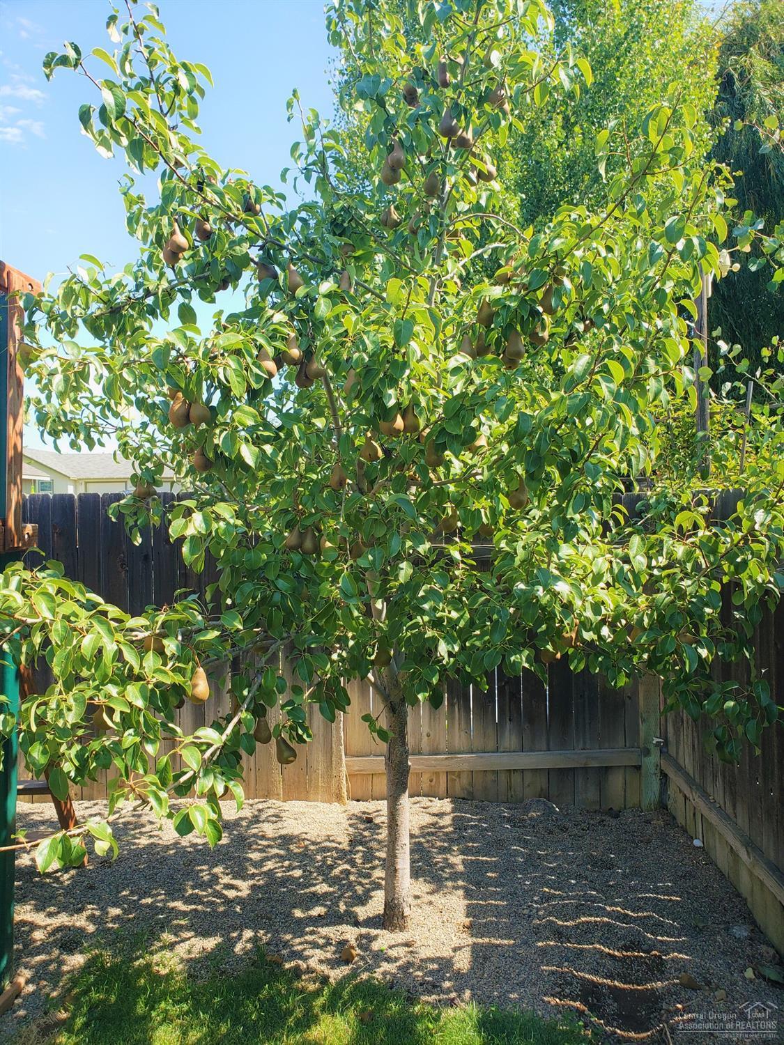 Hayden Acres - Residential