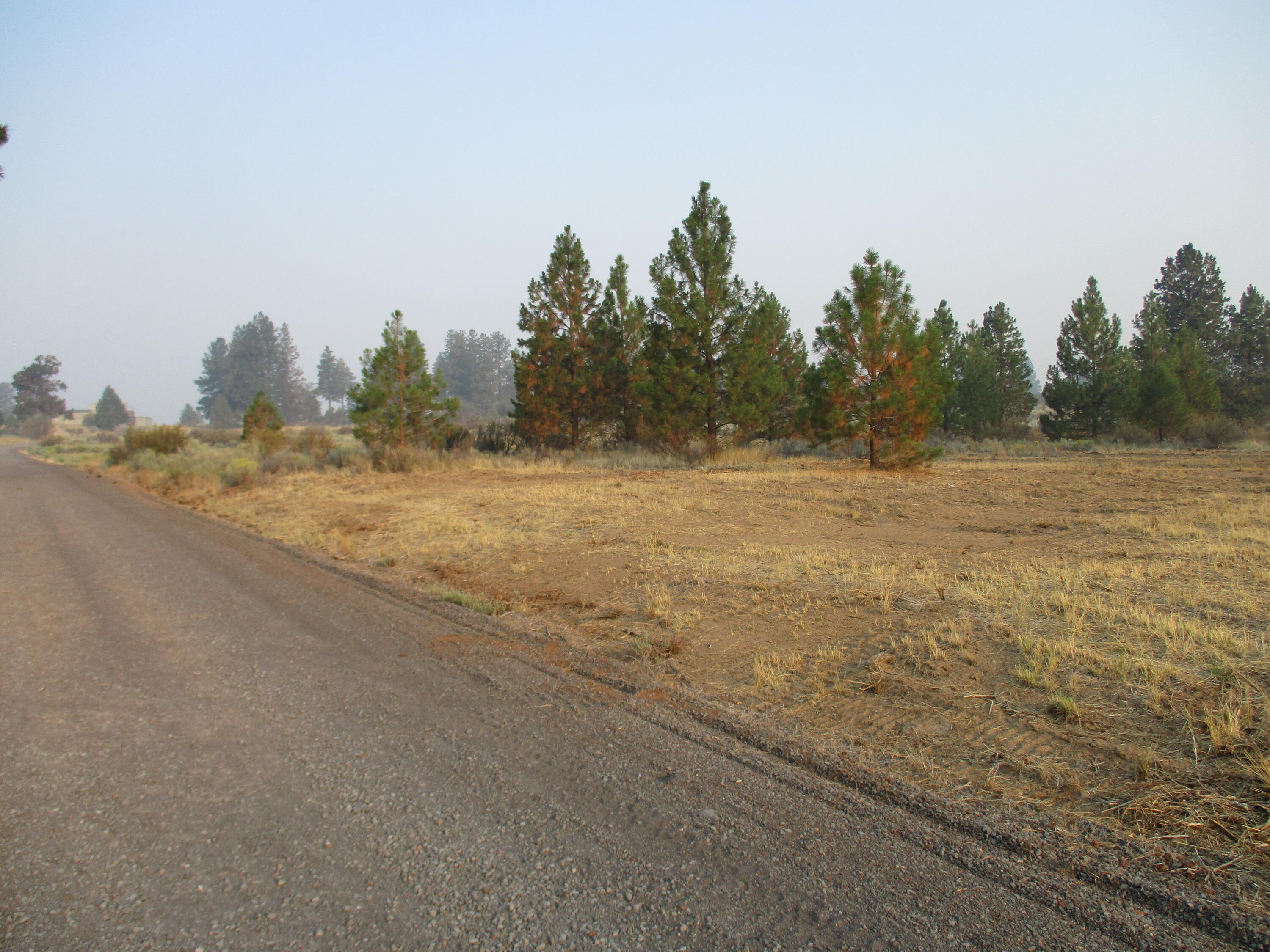 Oregon Shores -Unit 2 - Land