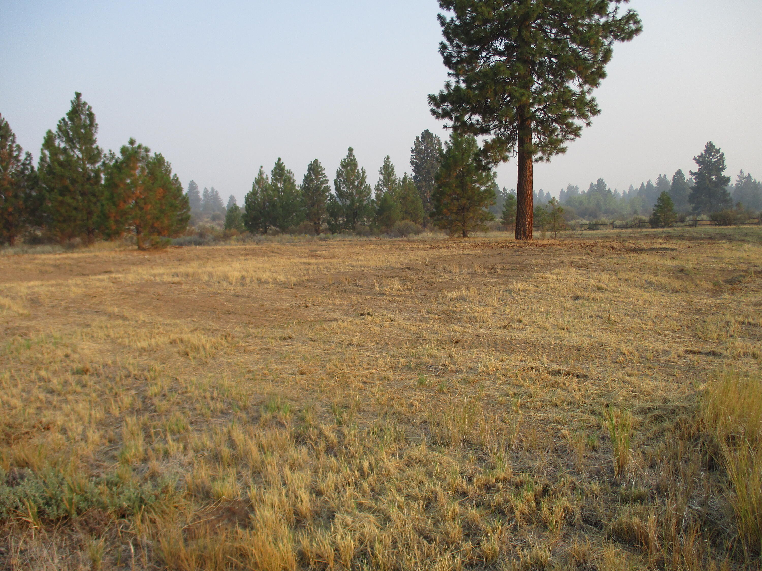 Oregon Shores -Unit 2 - Land