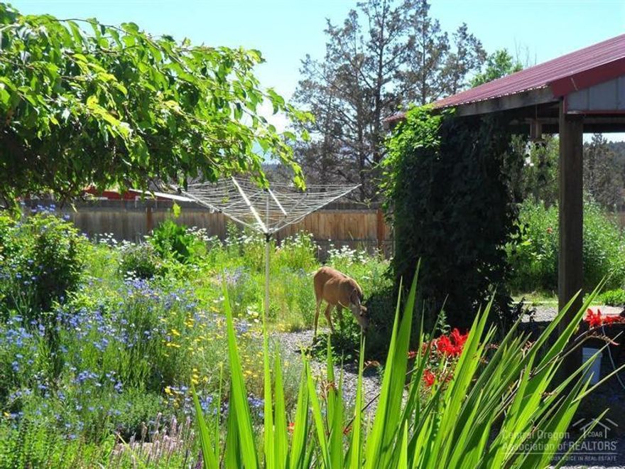 This wonderful organic farm was remodeled to accommodate multi generational family life. You can continue to use this property as an organic farm or it would be a great horse property. It has a 48x24 shop with studio, guest room, 600 sq. ft. sun room to start your veggies, 50x50 kennel for your pets or, use the space for chickens. The blending of the old homestead and newer conveniences that the 1987 renovation brought make this home special. You will be enchanted by this peaceful property. Sold As Is!