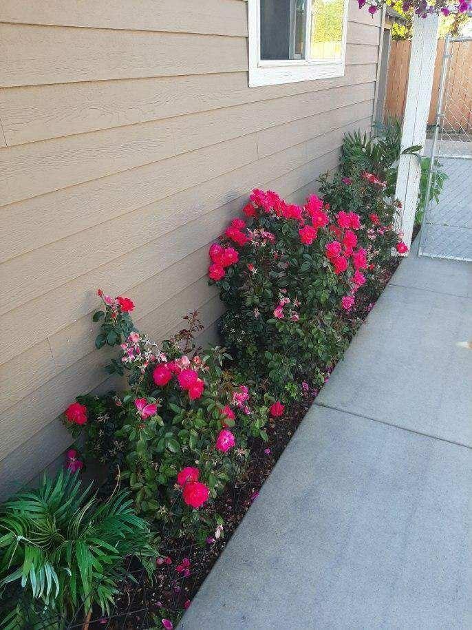 Fair Acres - Residential