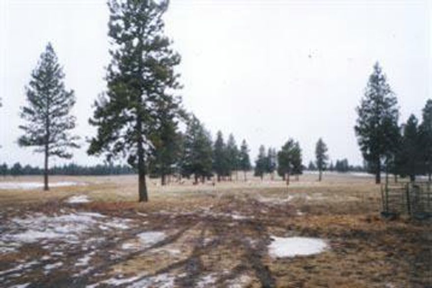 Wonderful Property Will Potential Galore At The Cross - Section To Crater Lake, Klamoya And Proposed Pelican Butte. Ideal For Small Ranch Or Horses. Qualifies For C.U.P. As Lot Of Record. Build Your Dream Home Here.