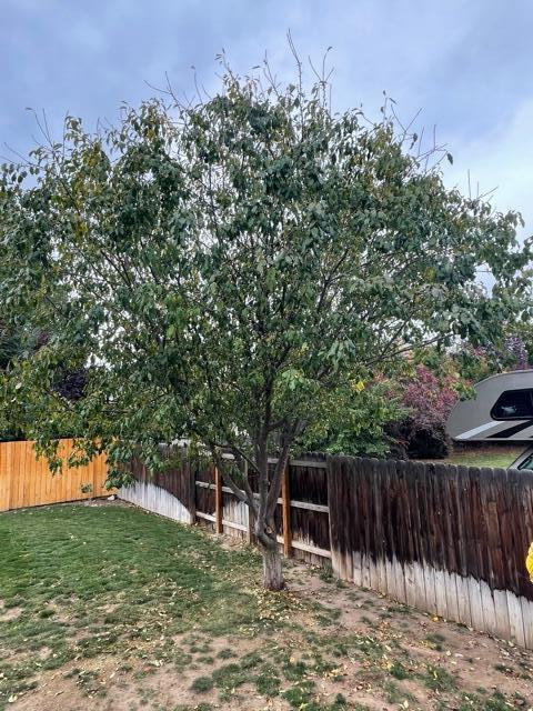 Savannah Estates - Residential