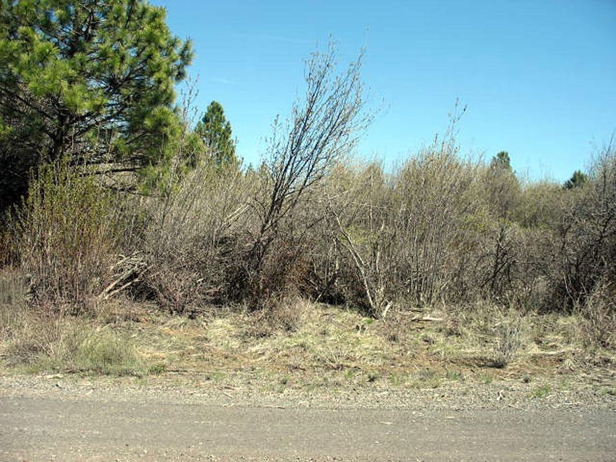 Lot is located in Oregon Shores 1 subdivision. HOA fees of only $100.00 per year includes water, maintained roads and access to Oregon Shores recreational club on the agency lake. Just minutes to the Williamson River,Sprague River and approximately 30 miles to Crater Lake National Park.
