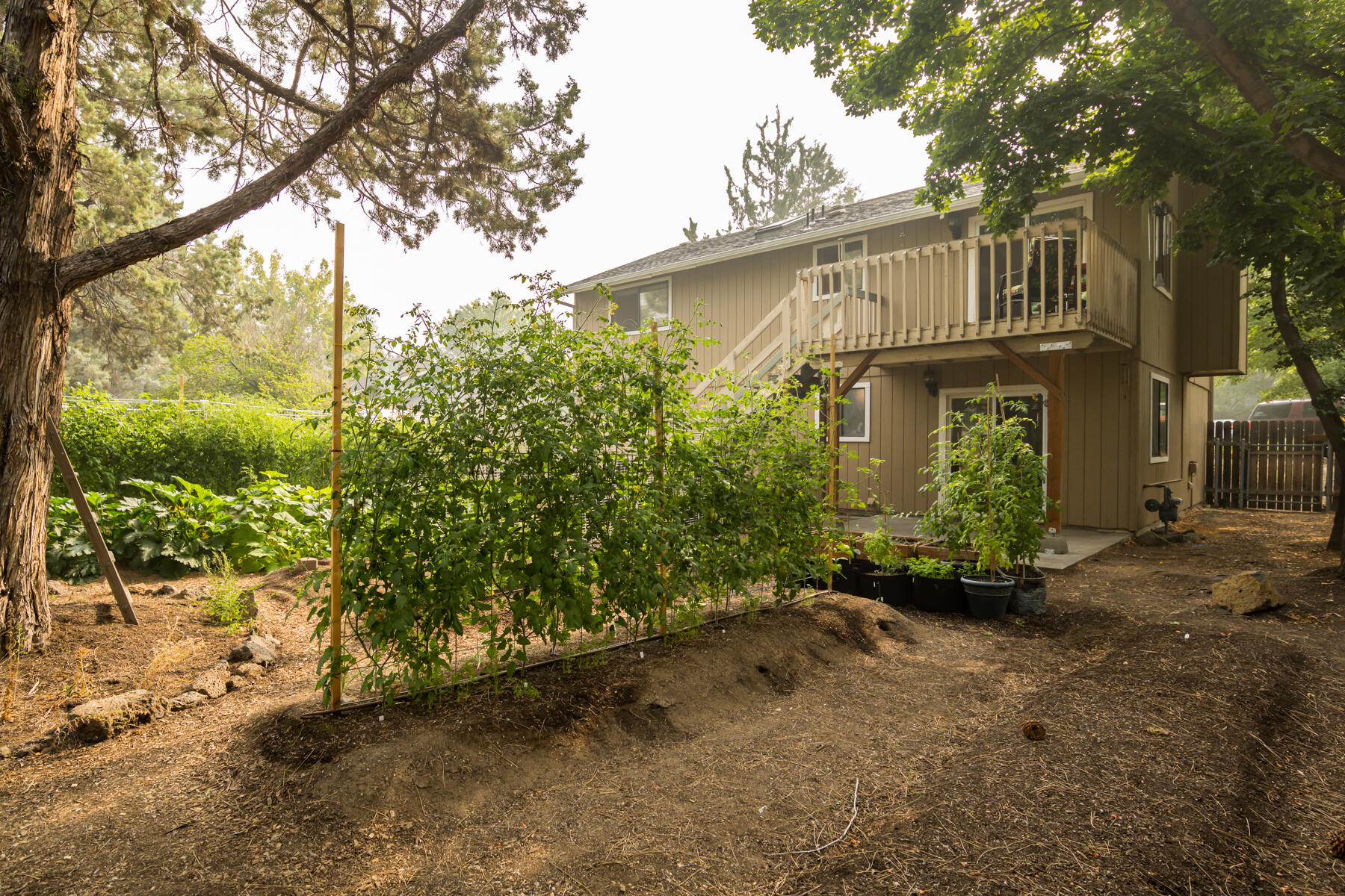 Tamarack Park - Residential