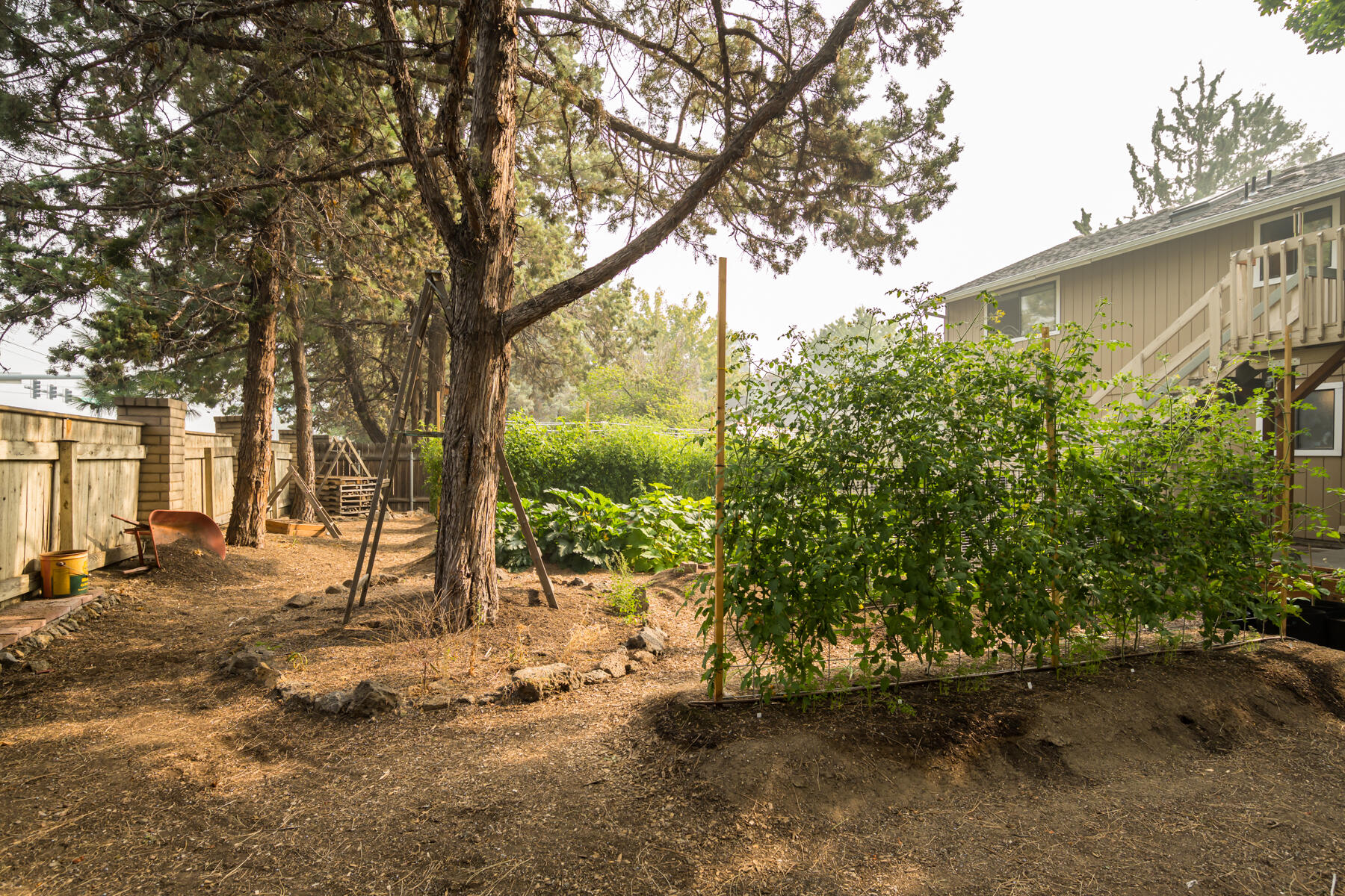 Tamarack Park - Residential