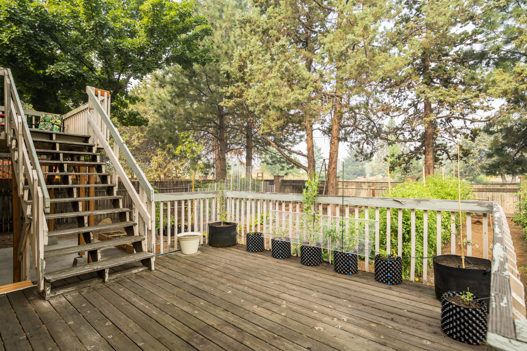 Tamarack Park - Residential