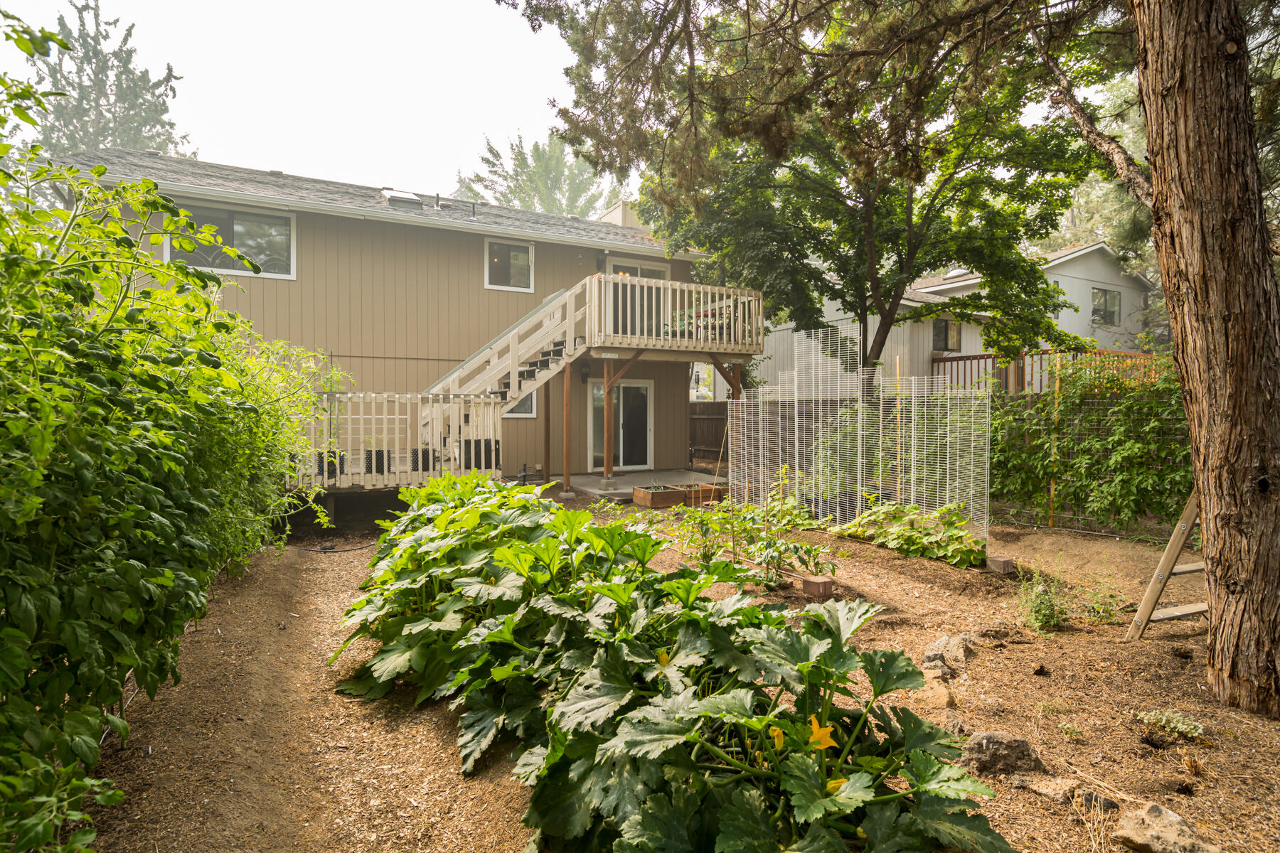 Tamarack Park - Residential