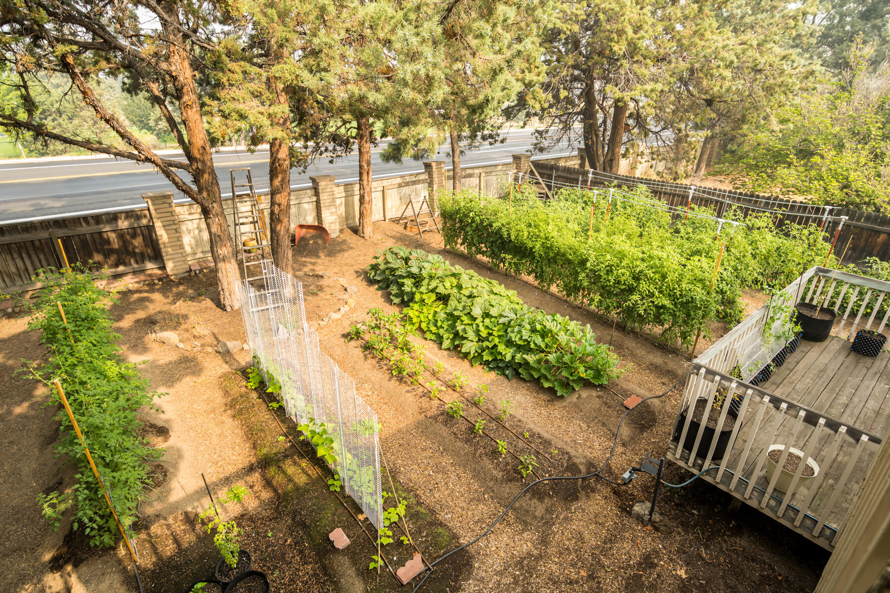 Tamarack Park - Residential