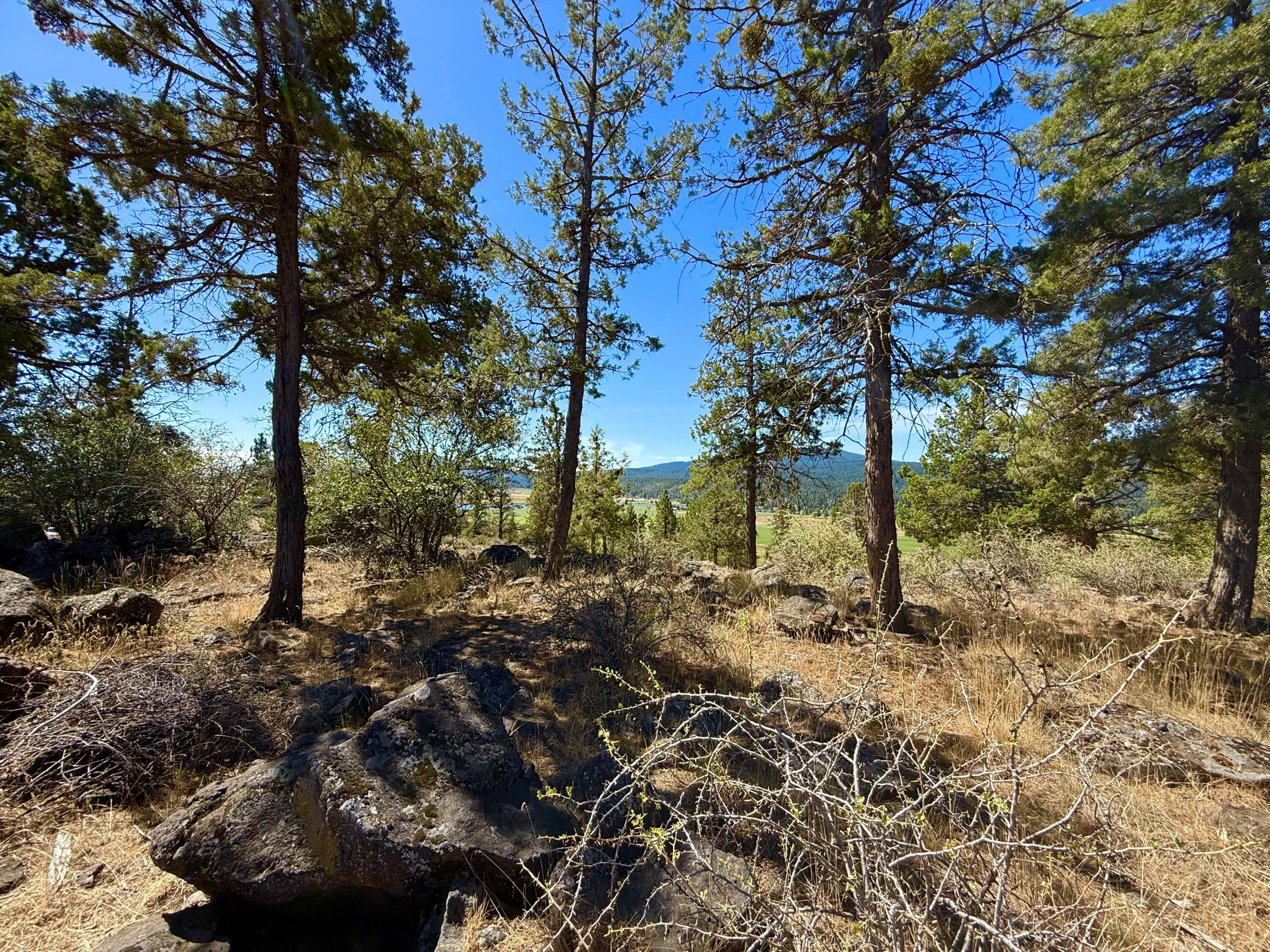 Keno Hillside Acres - Land