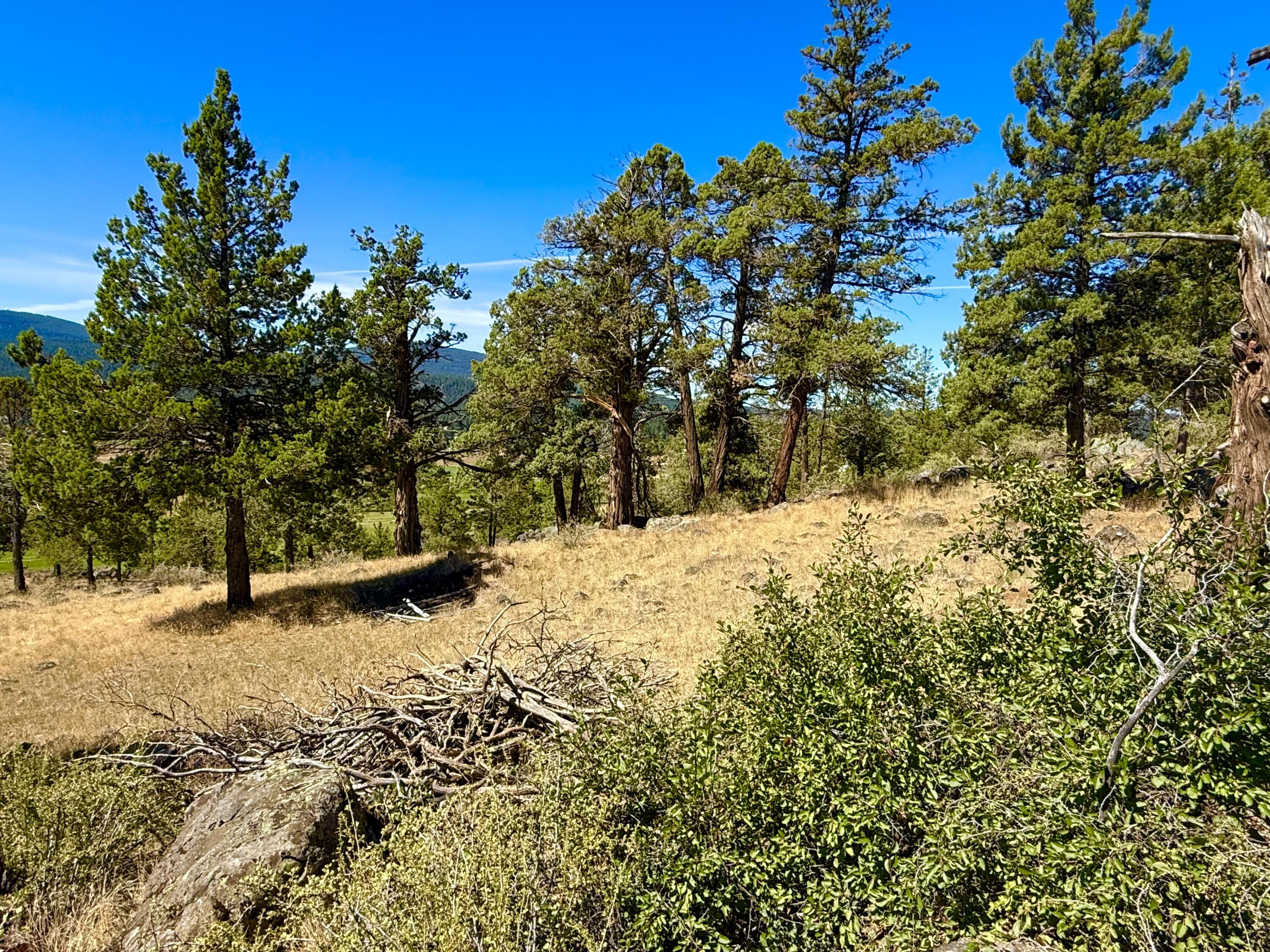 Keno Hillside Acres - Land